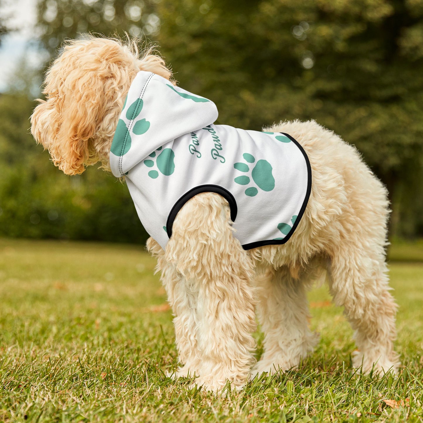 Pawsitively Pawdacious Hoodie - Pawdacity