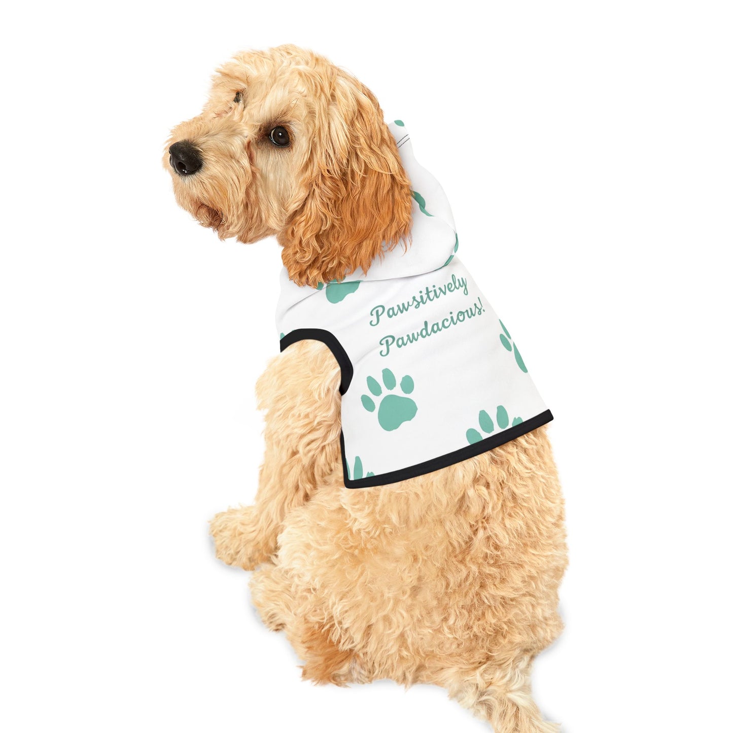 Pawsitively Pawdacious Hoodie - Pawdacity
