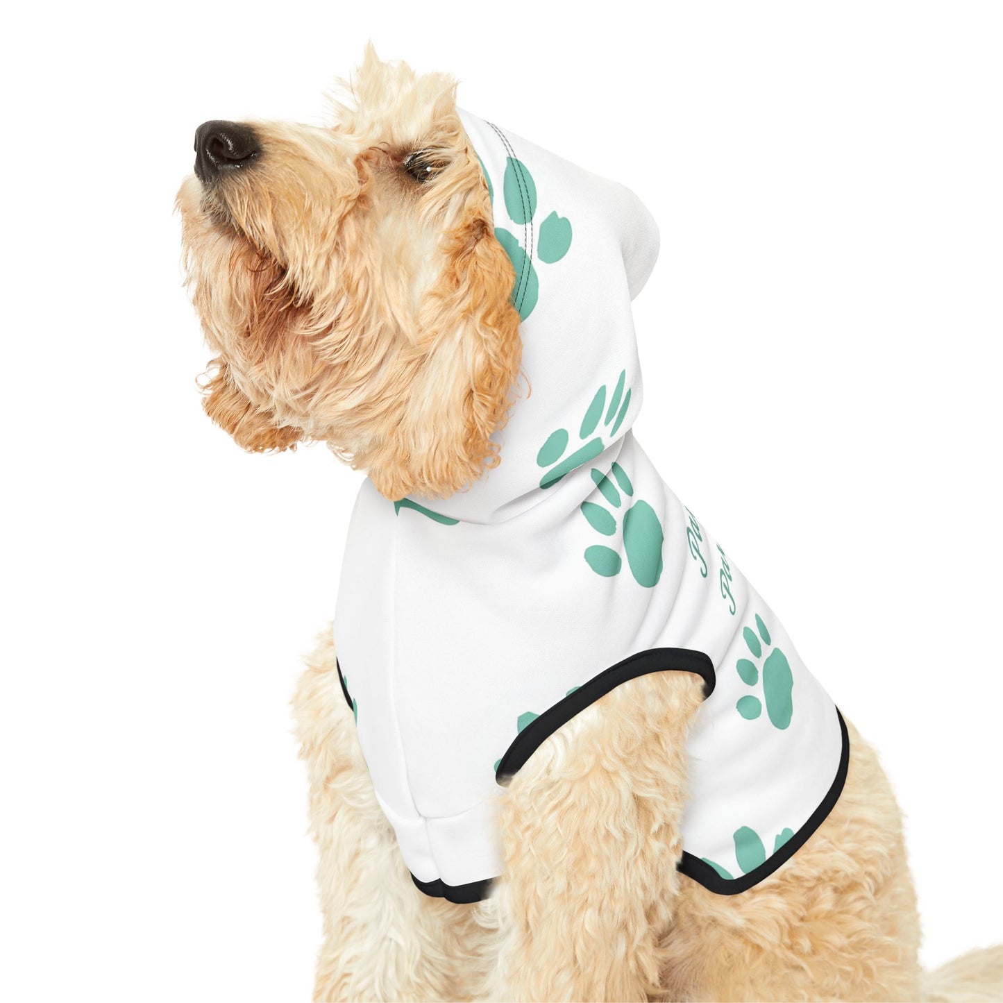 Pawsitively Pawdacious Hoodie - Pawdacity