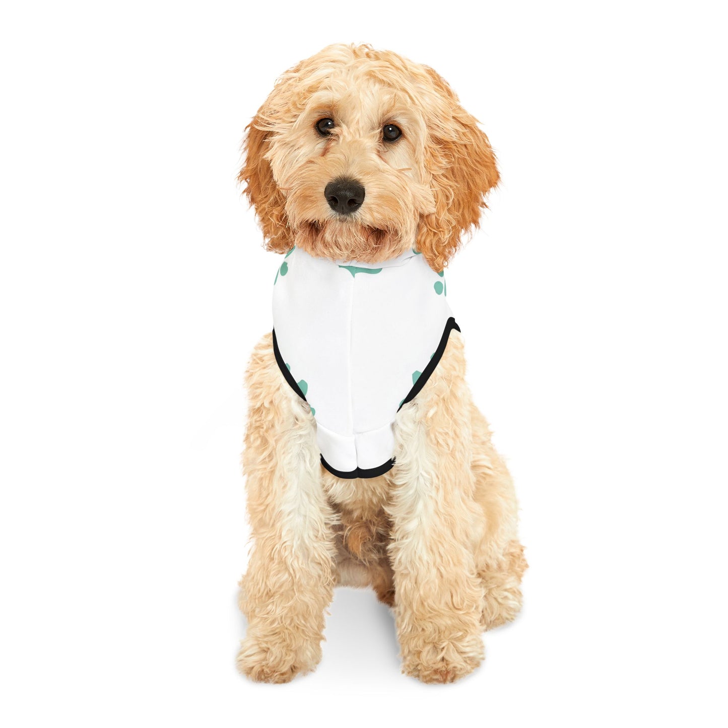 Pawsitively Pawdacious Hoodie - Pawdacity