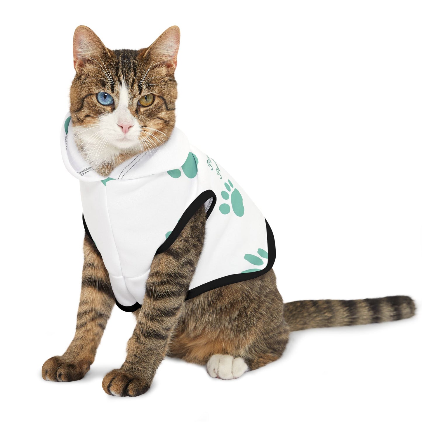 Pawsitively Pawdacious Hoodie - Pawdacity