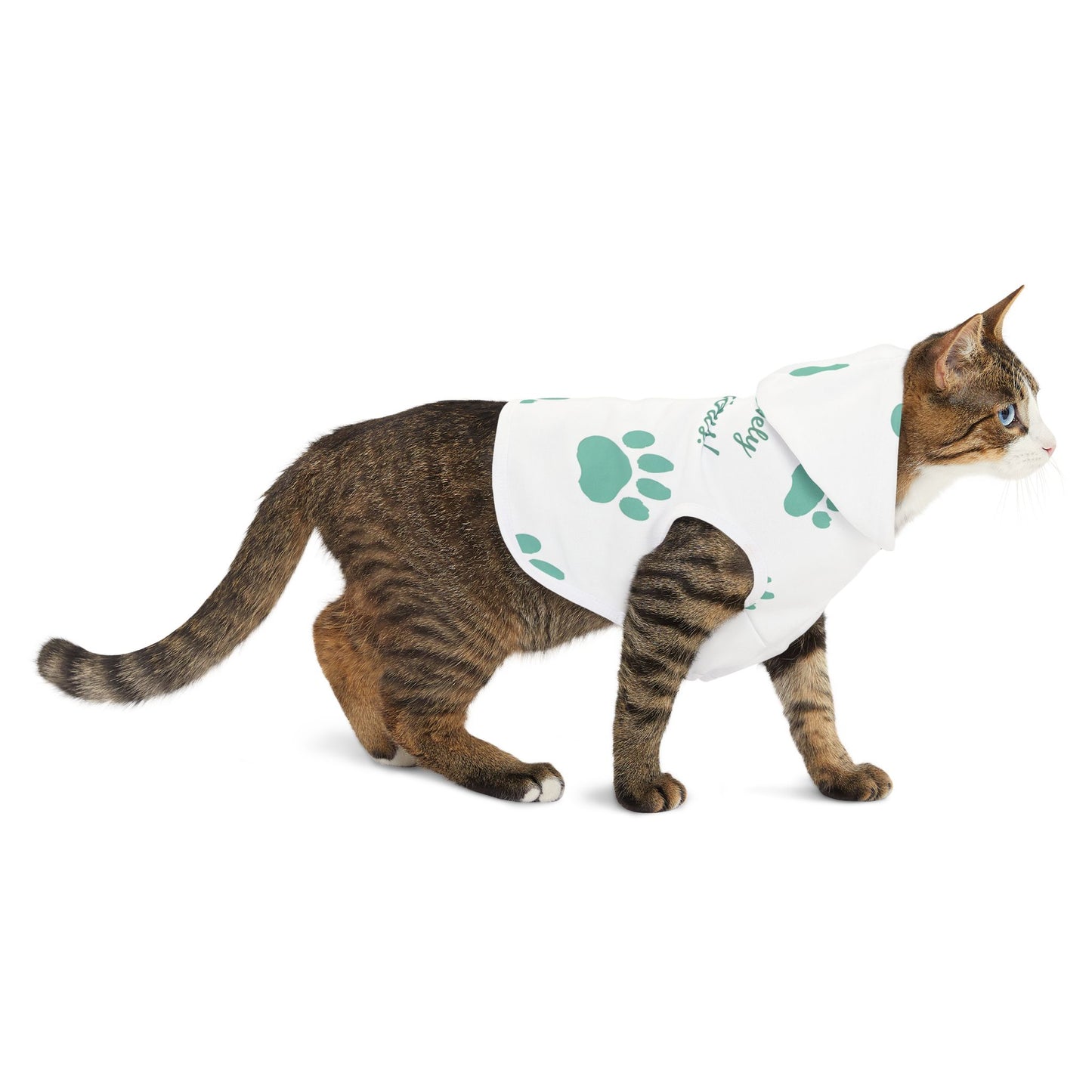 Pawsitively Pawdacious Hoodie - Pawdacity