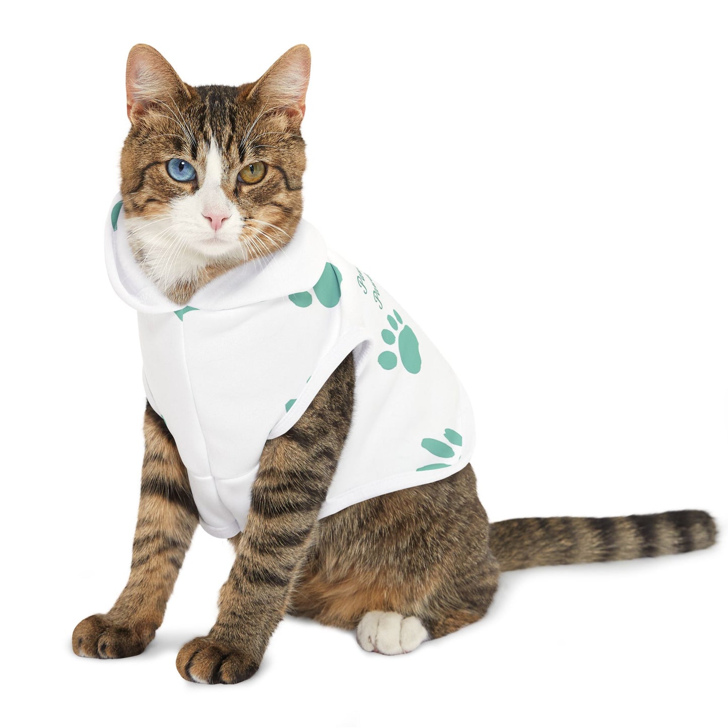 Pawsitively Pawdacious Hoodie - Pawdacity
