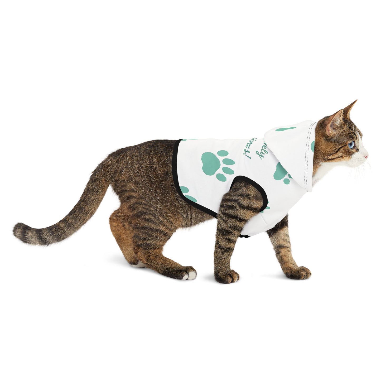 Pawsitively Pawdacious Hoodie - Pawdacity