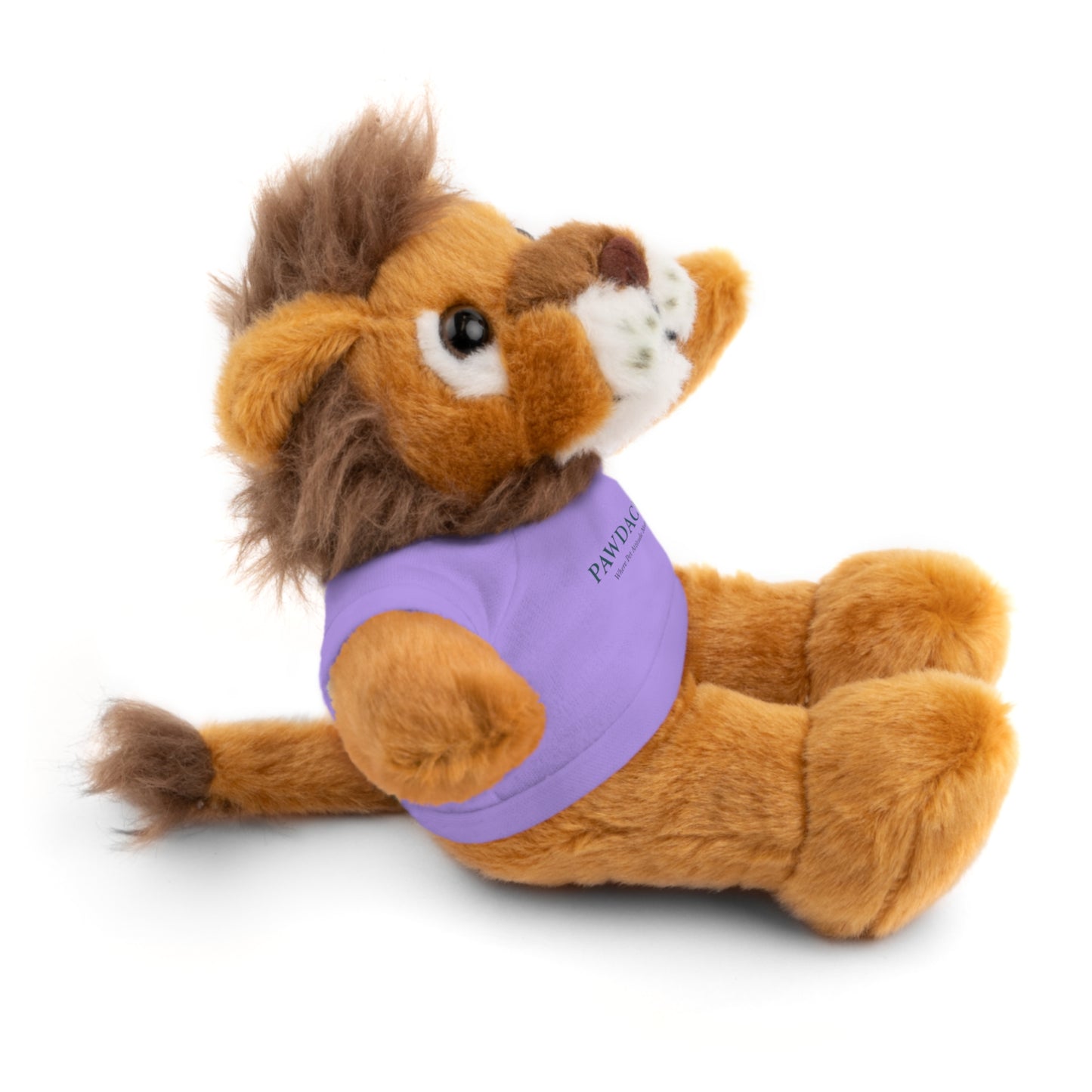 Customizable Teddy Bear - Pawdacity