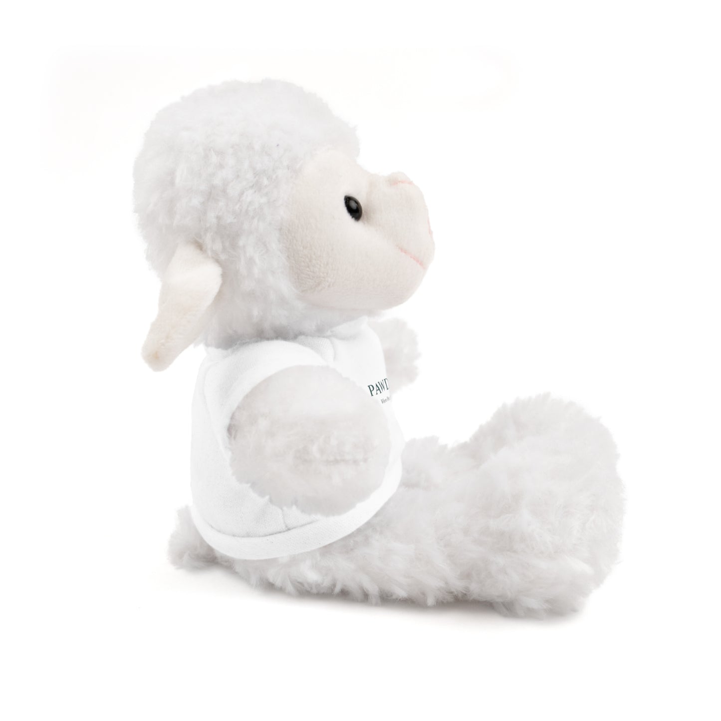 Customizable Teddy Bear - Pawdacity