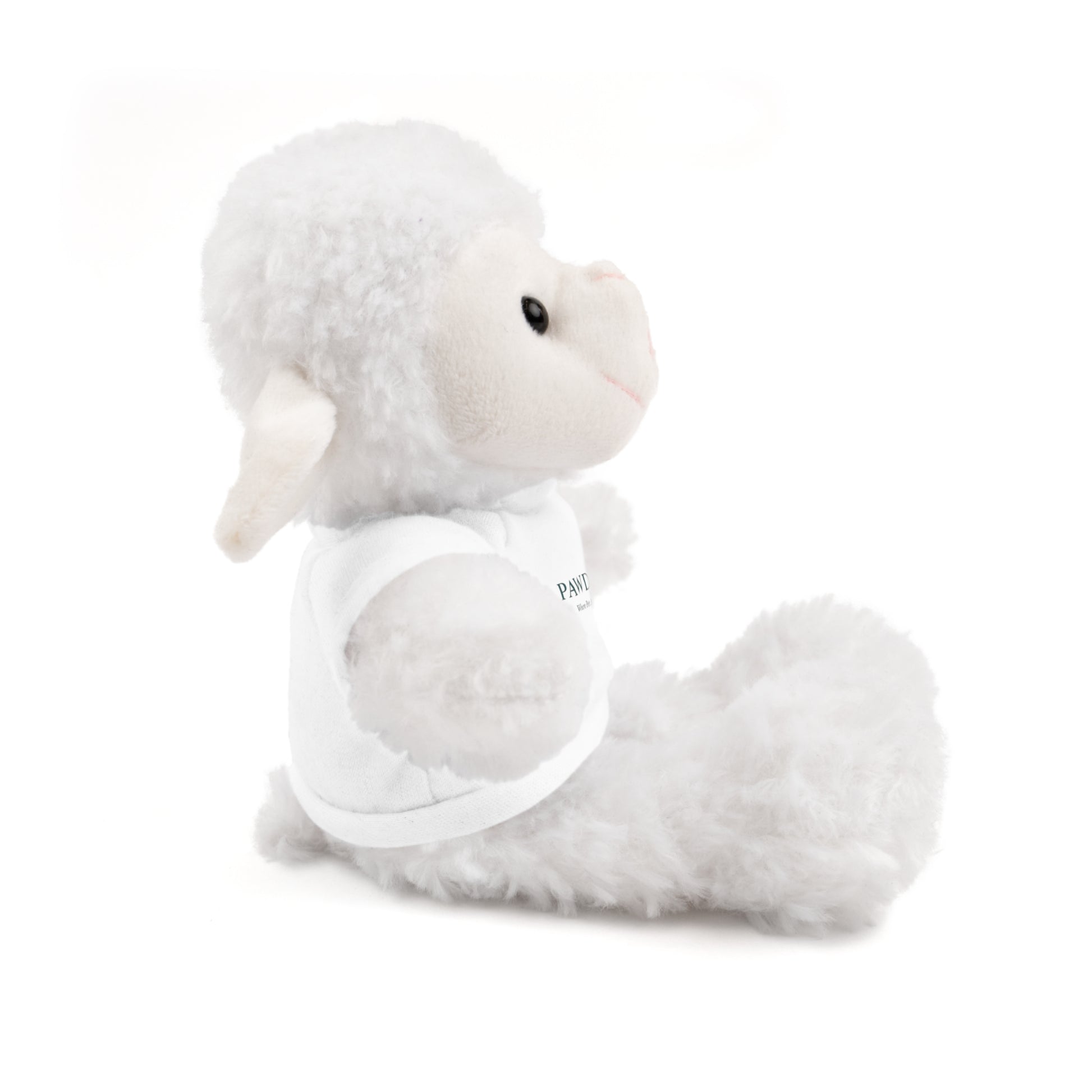Customizable Teddy Bear - Pawdacity