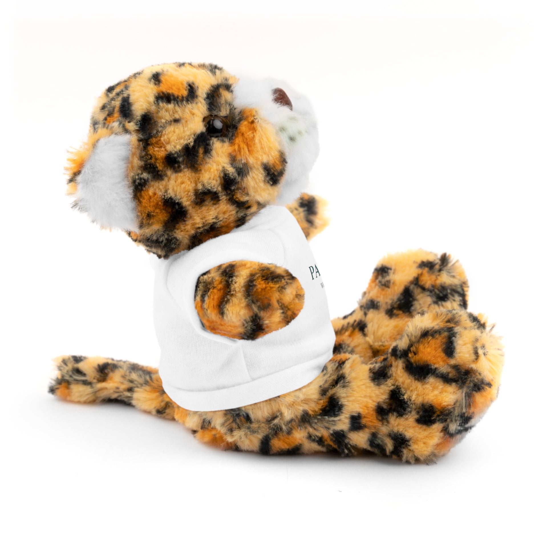 Customizable Teddy Bear - Pawdacity