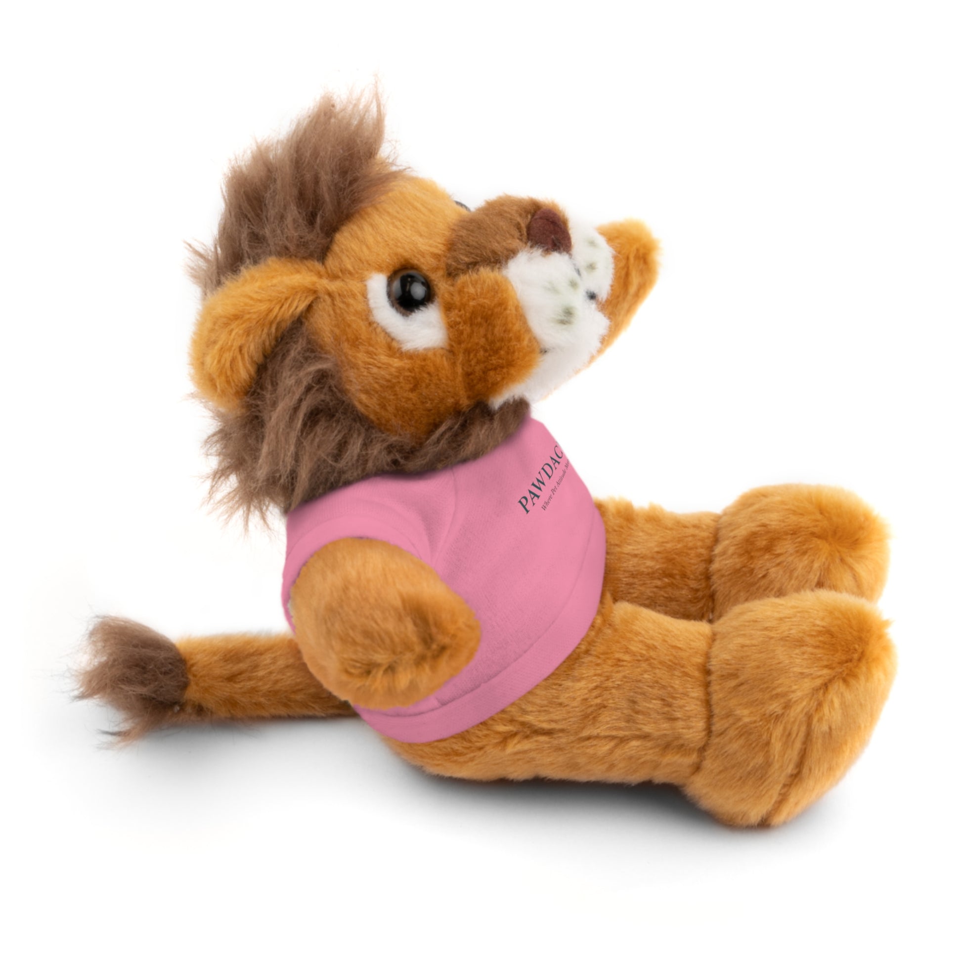 Customizable Teddy Bear - Pawdacity