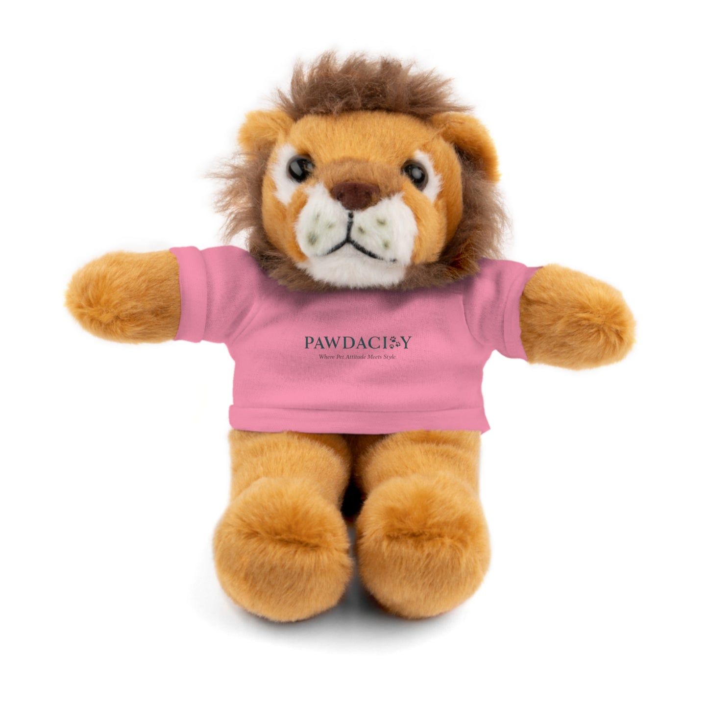 Customizable Teddy Bear - Pawdacity