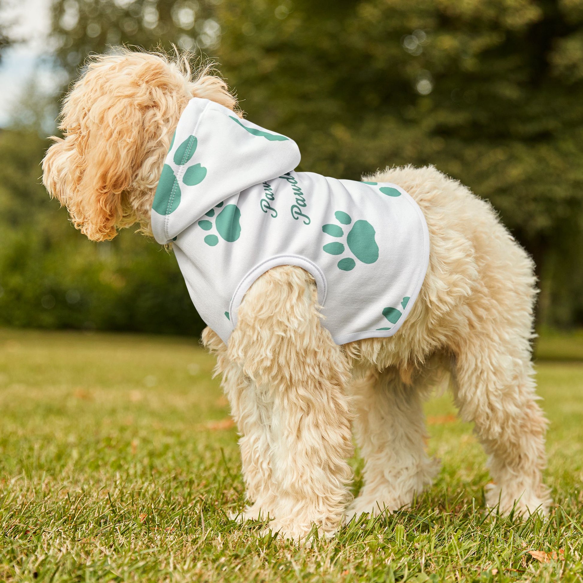 Pawsitively Pawdacious Hoodie - Pawdacity