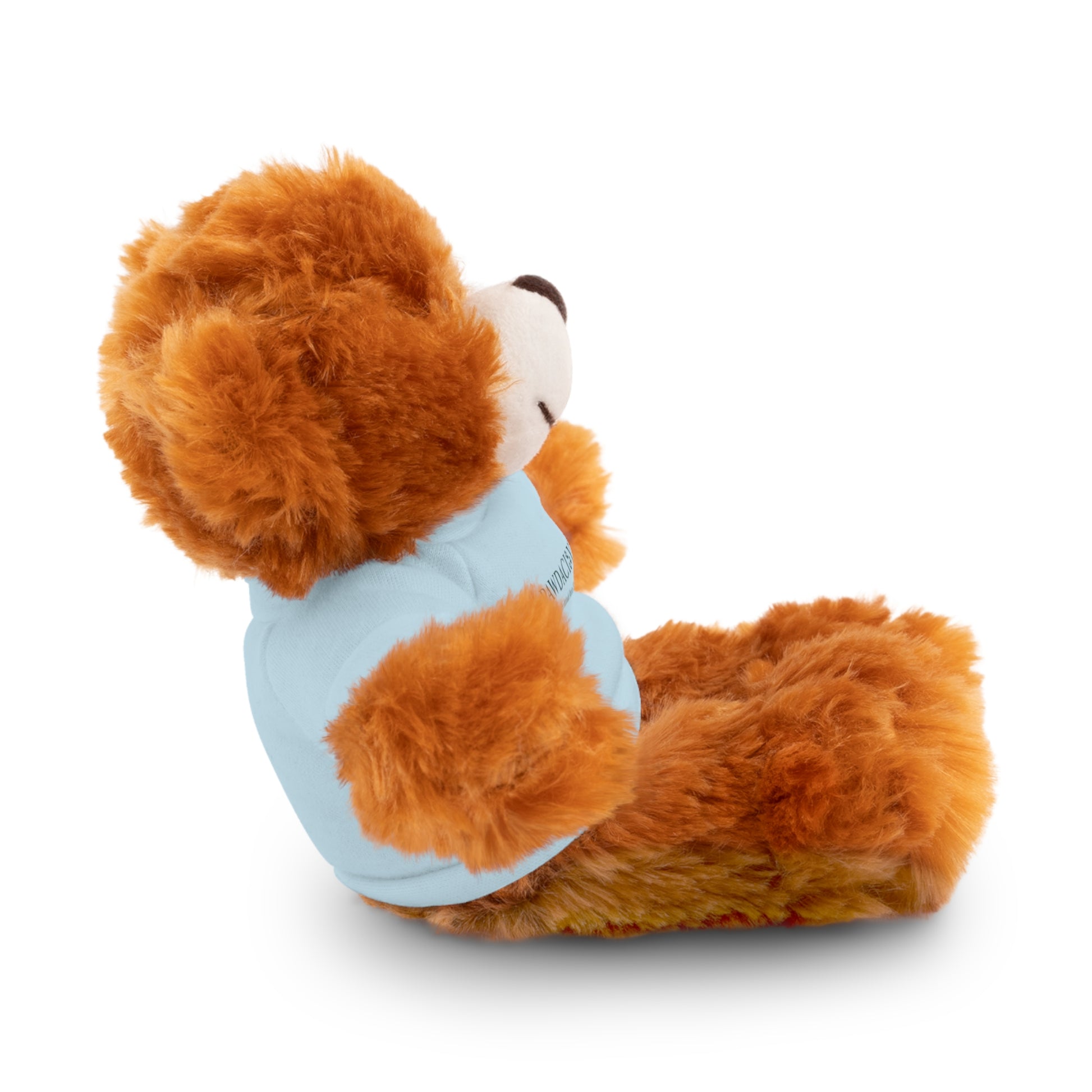 Customizable Teddy Bear - Pawdacity
