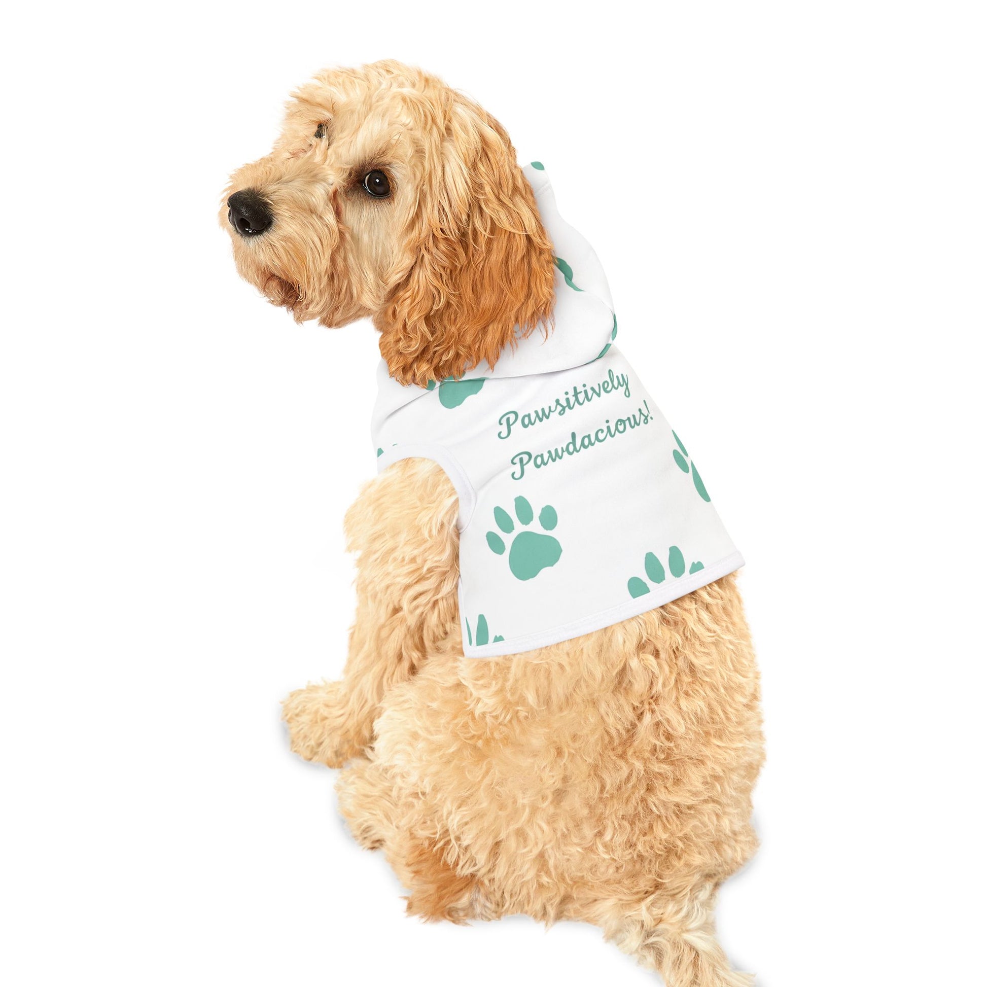Pawsitively Pawdacious Hoodie - Pawdacity
