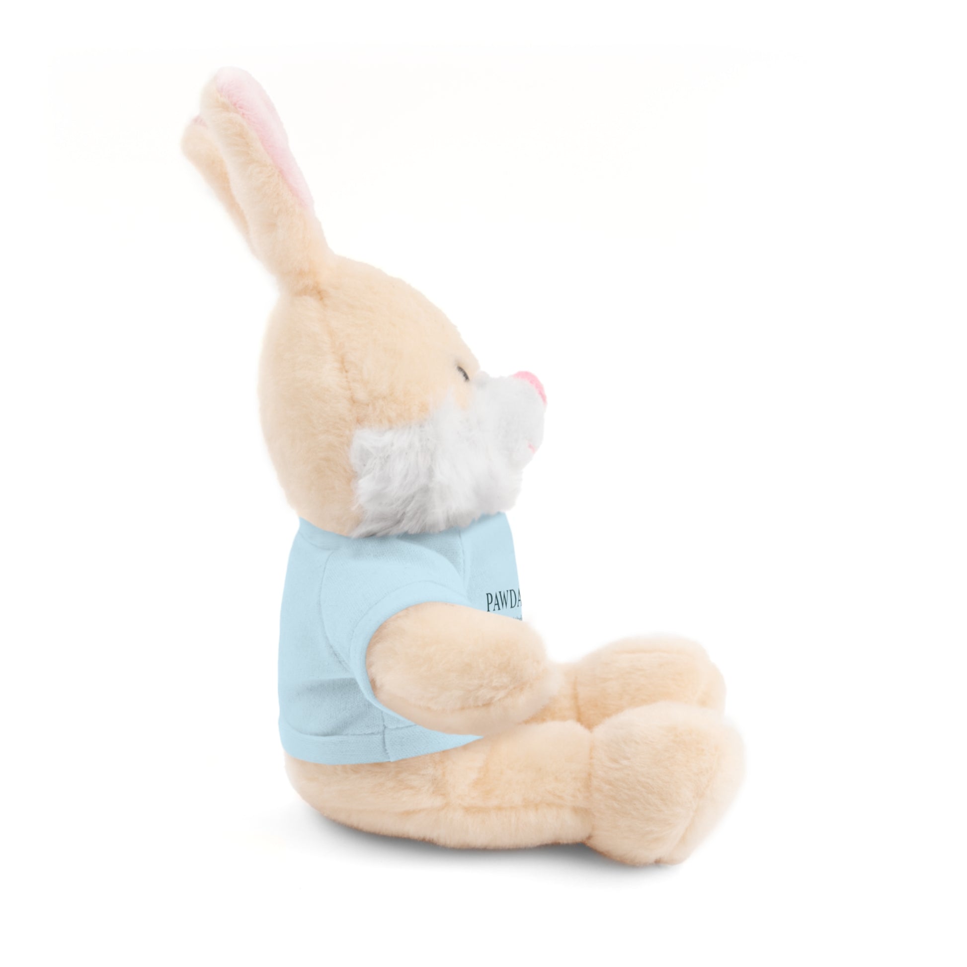 Customizable Teddy Bear - Pawdacity