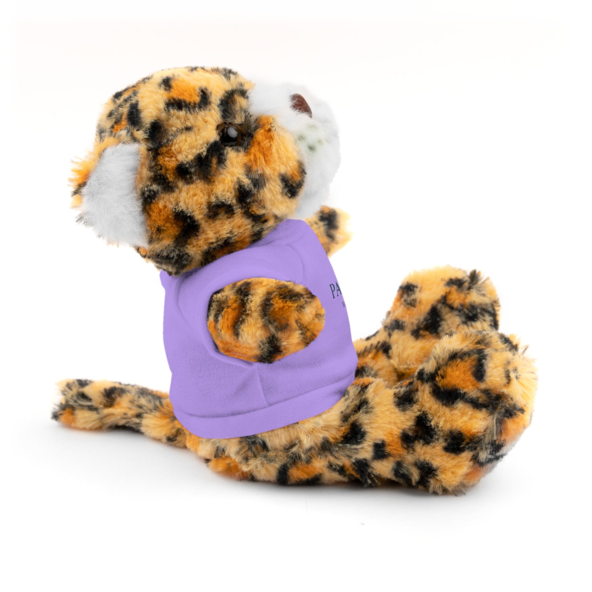 Customizable Teddy Bear - Pawdacity