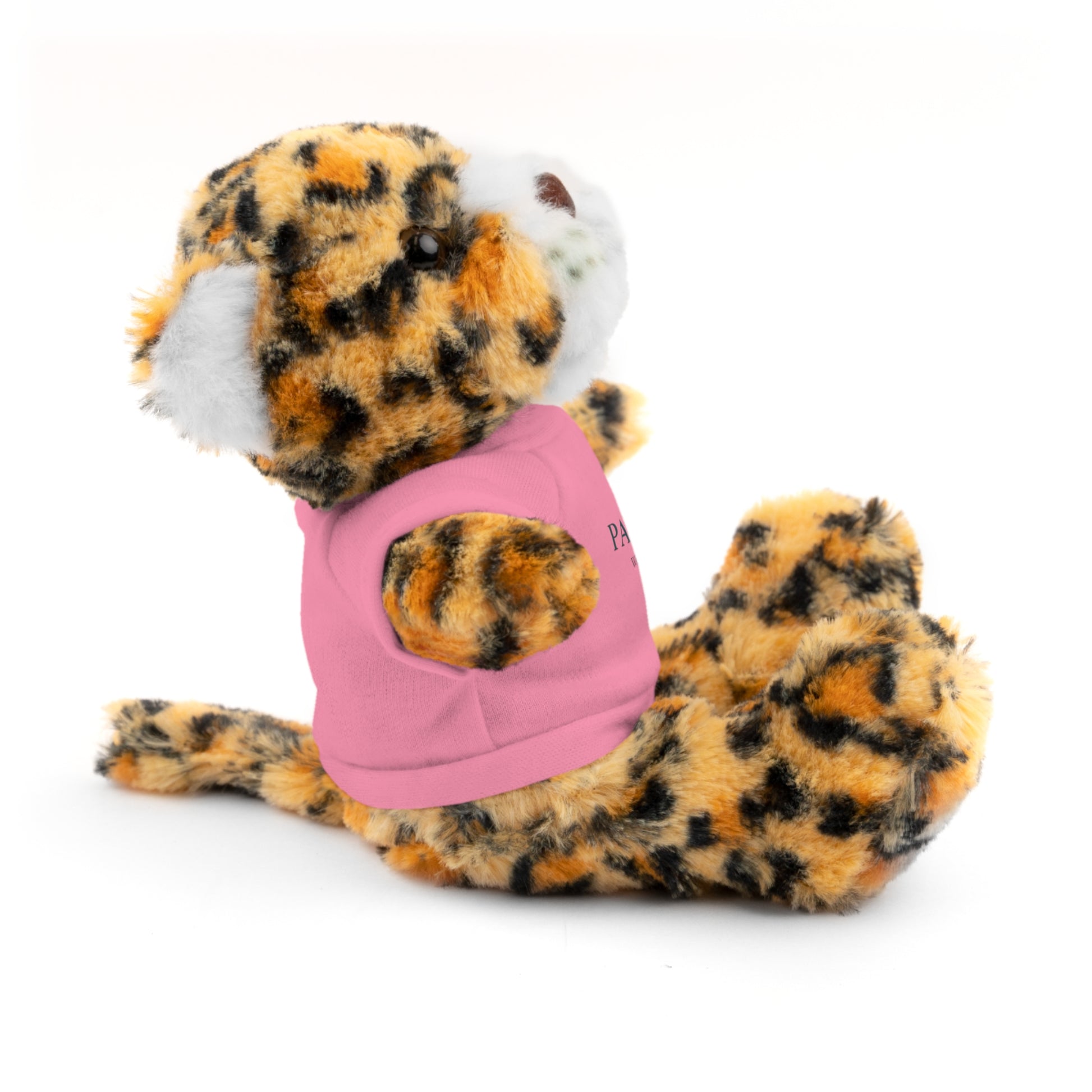 Customizable Teddy Bear - Pawdacity