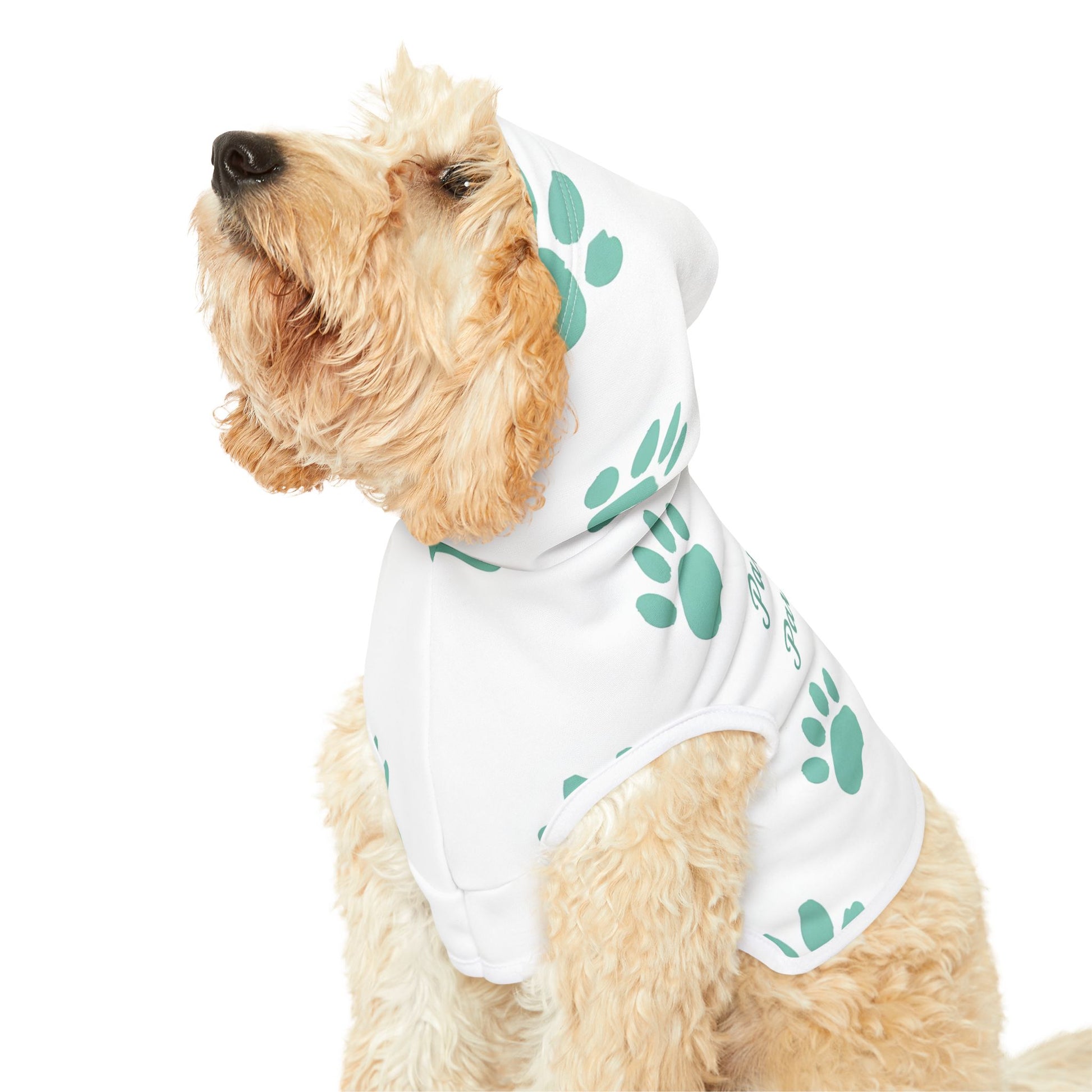 Pawsitively Pawdacious Hoodie - Pawdacity