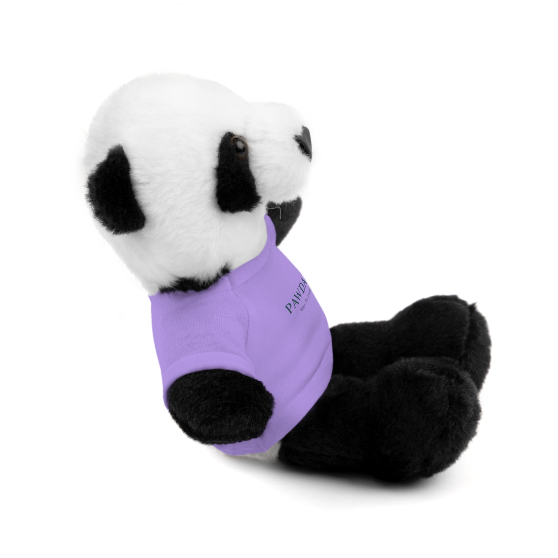 Customizable Teddy Bear - Pawdacity