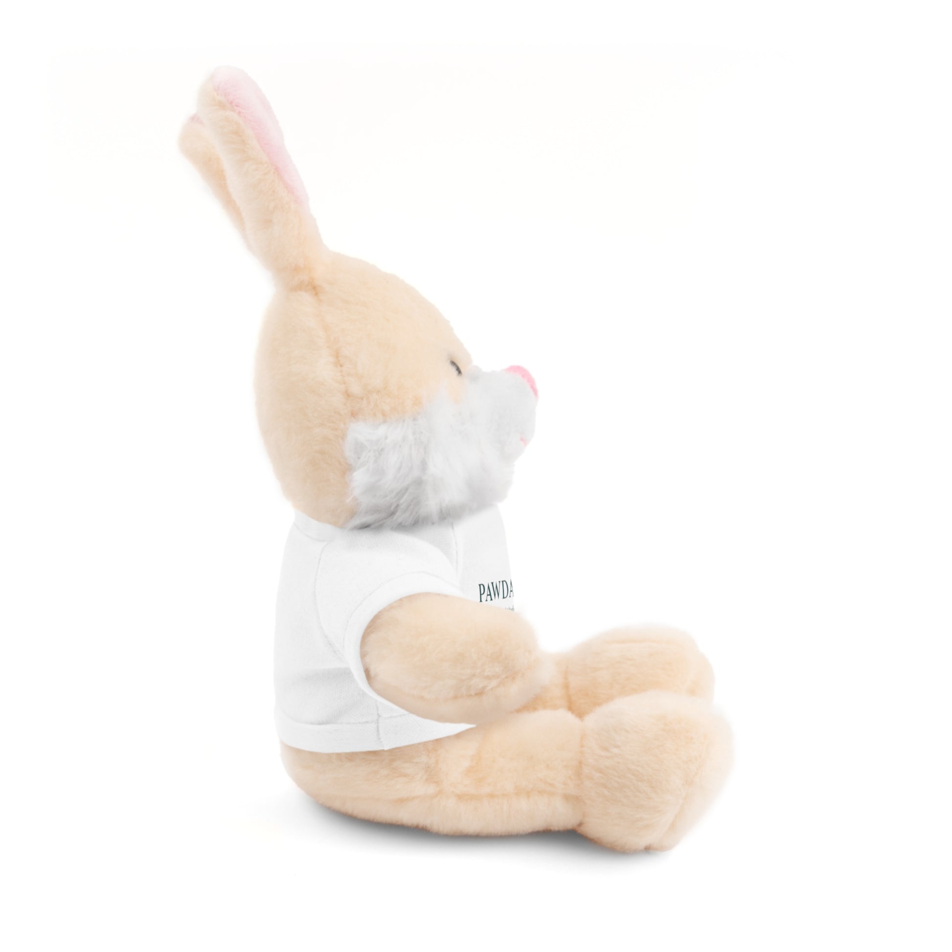 Customizable Teddy Bear - Pawdacity