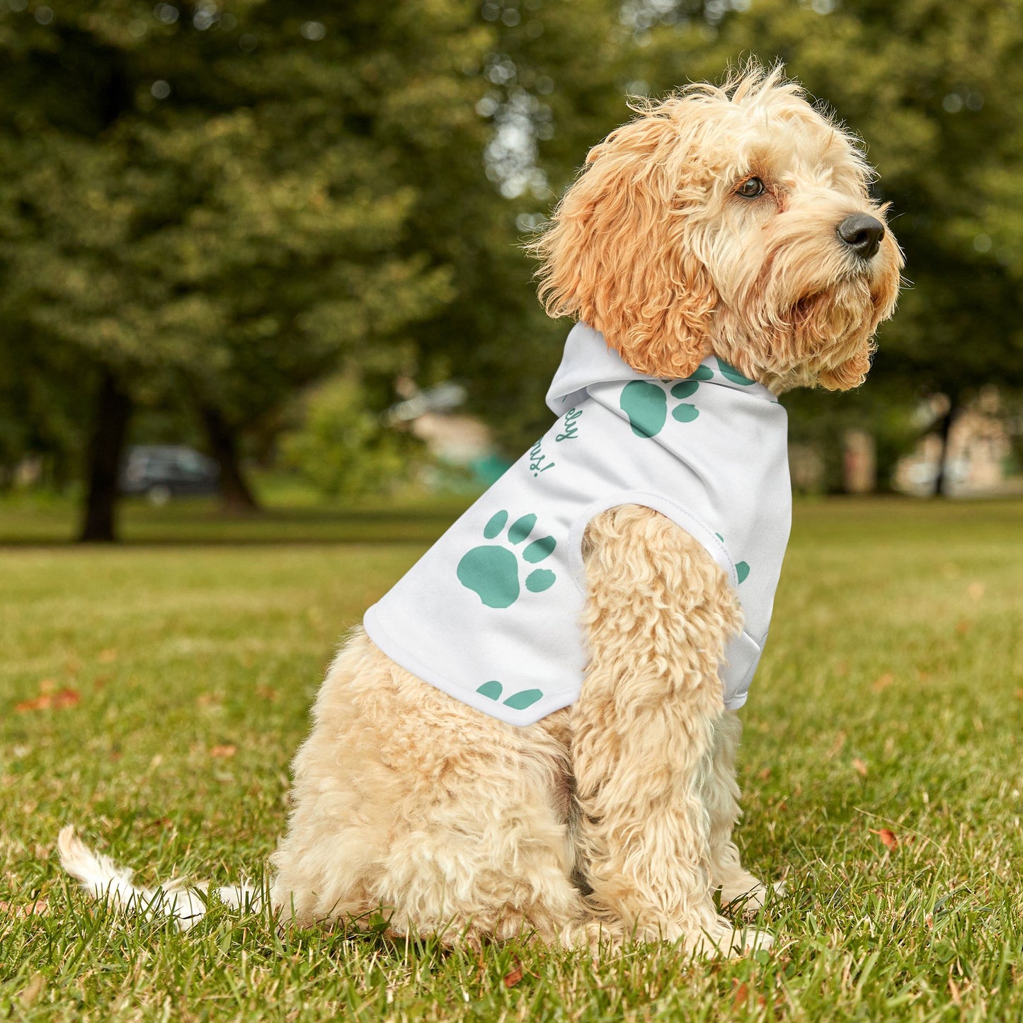 Pawsitively Pawdacious Hoodie - Pawdacity