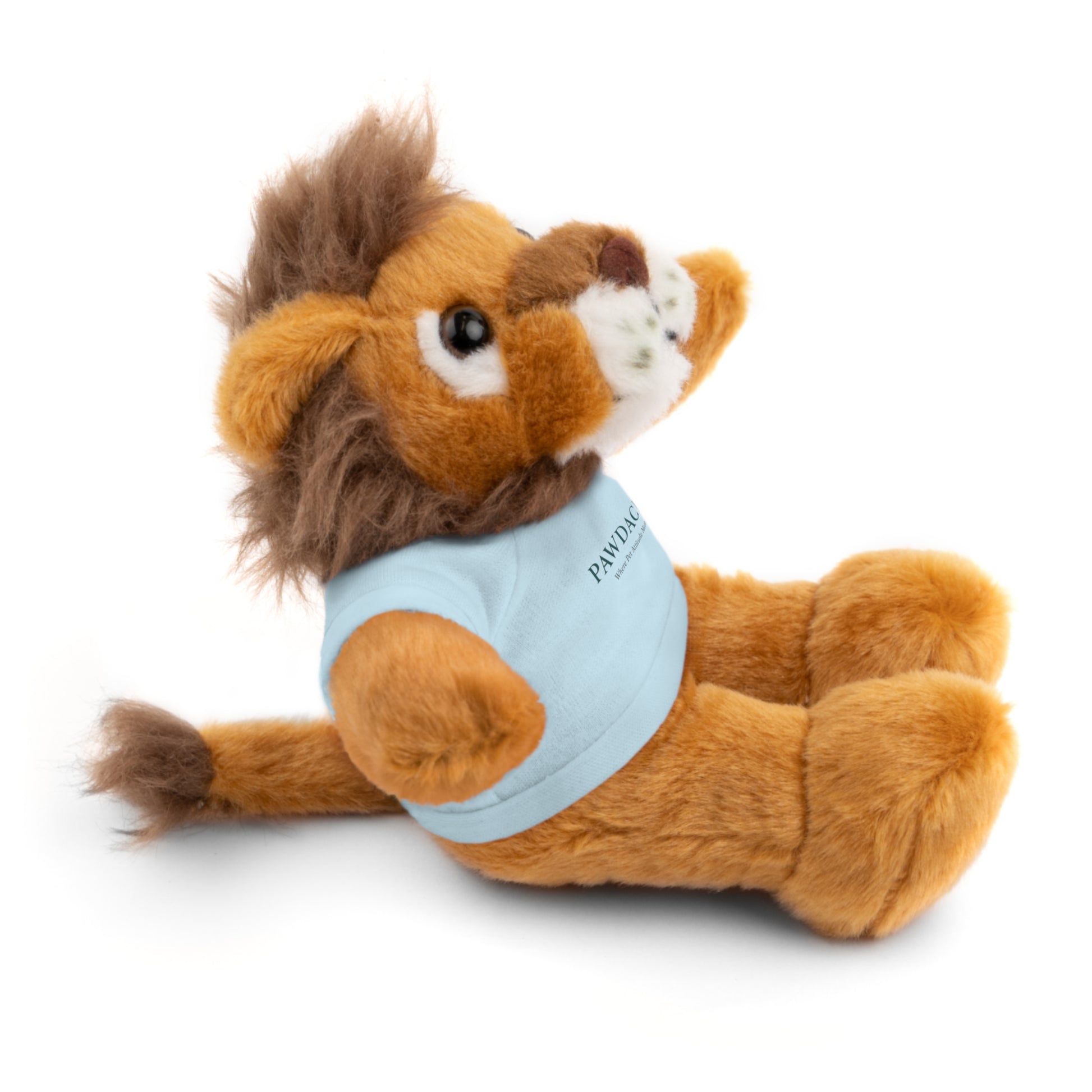 Customizable Teddy Bear - Pawdacity