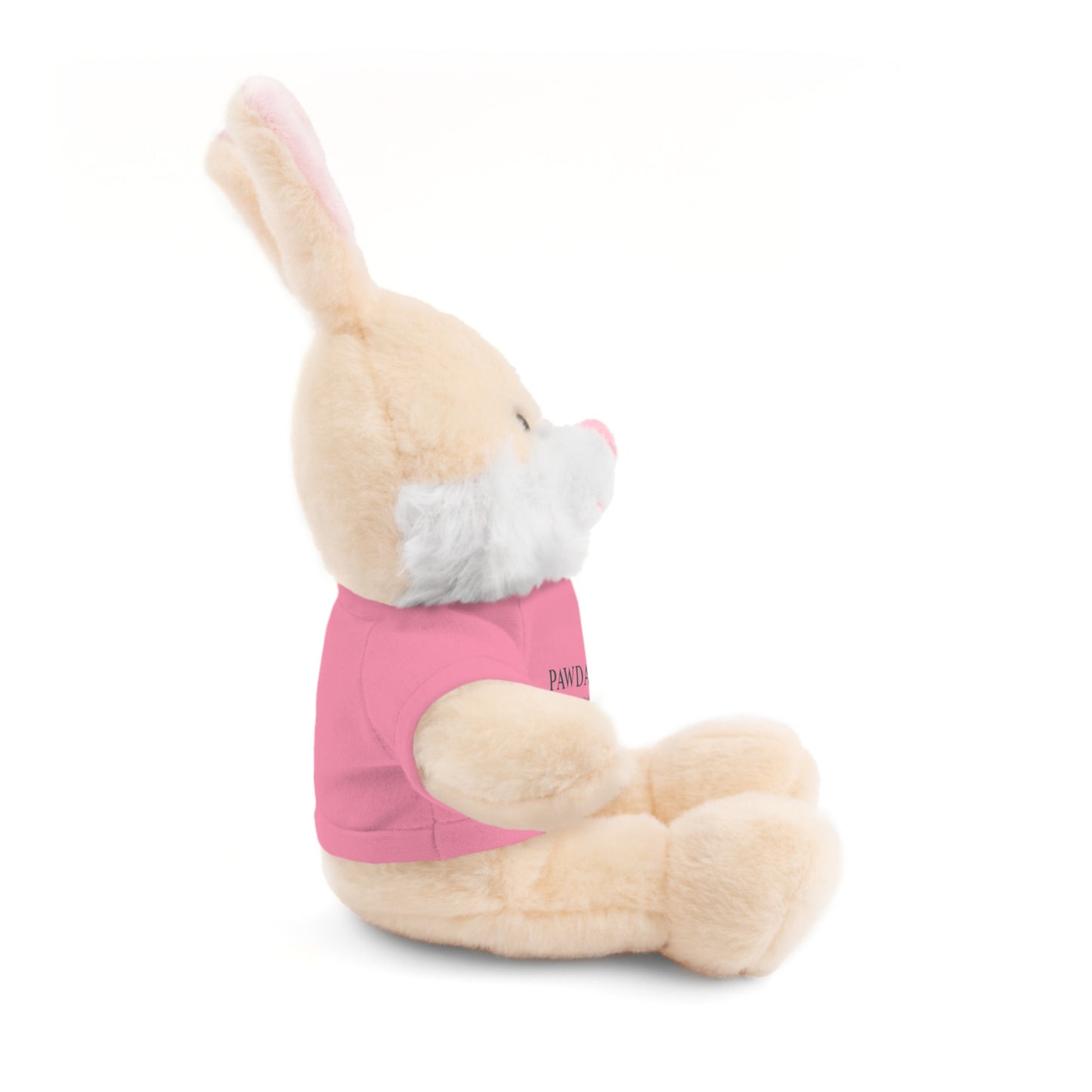 Customizable Teddy Bear - Pawdacity