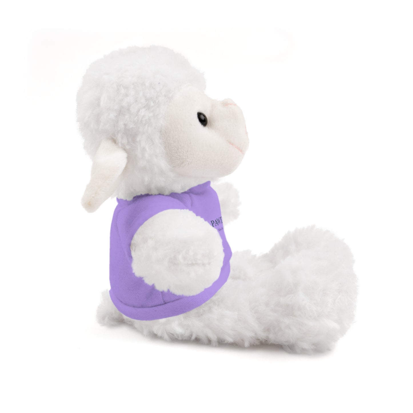 Customizable Teddy Bear - Pawdacity