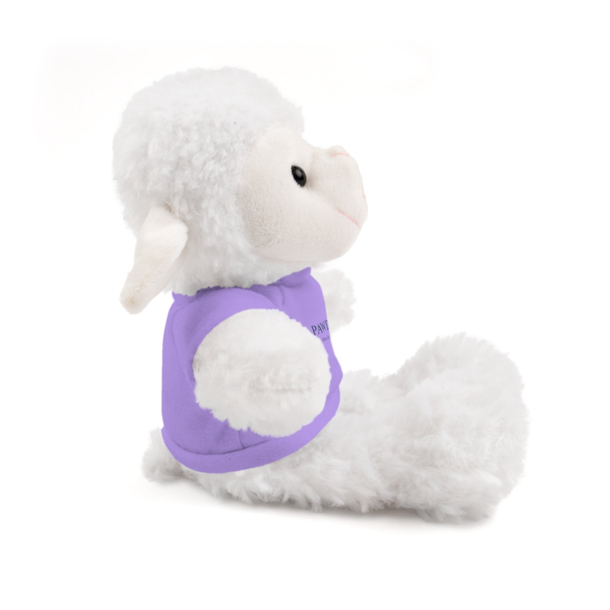 Customizable Teddy Bear - Pawdacity