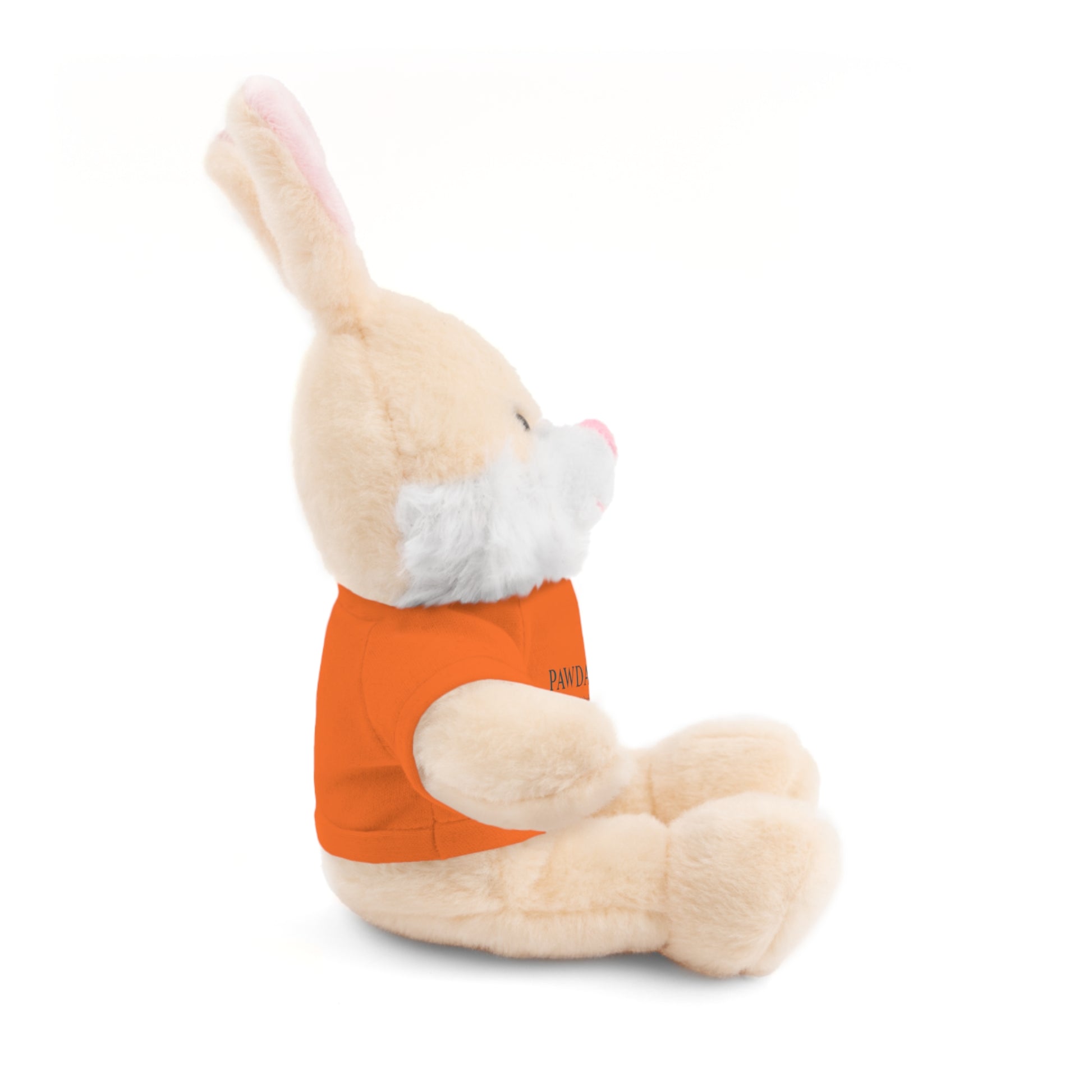 Customizable Teddy Bear - Pawdacity
