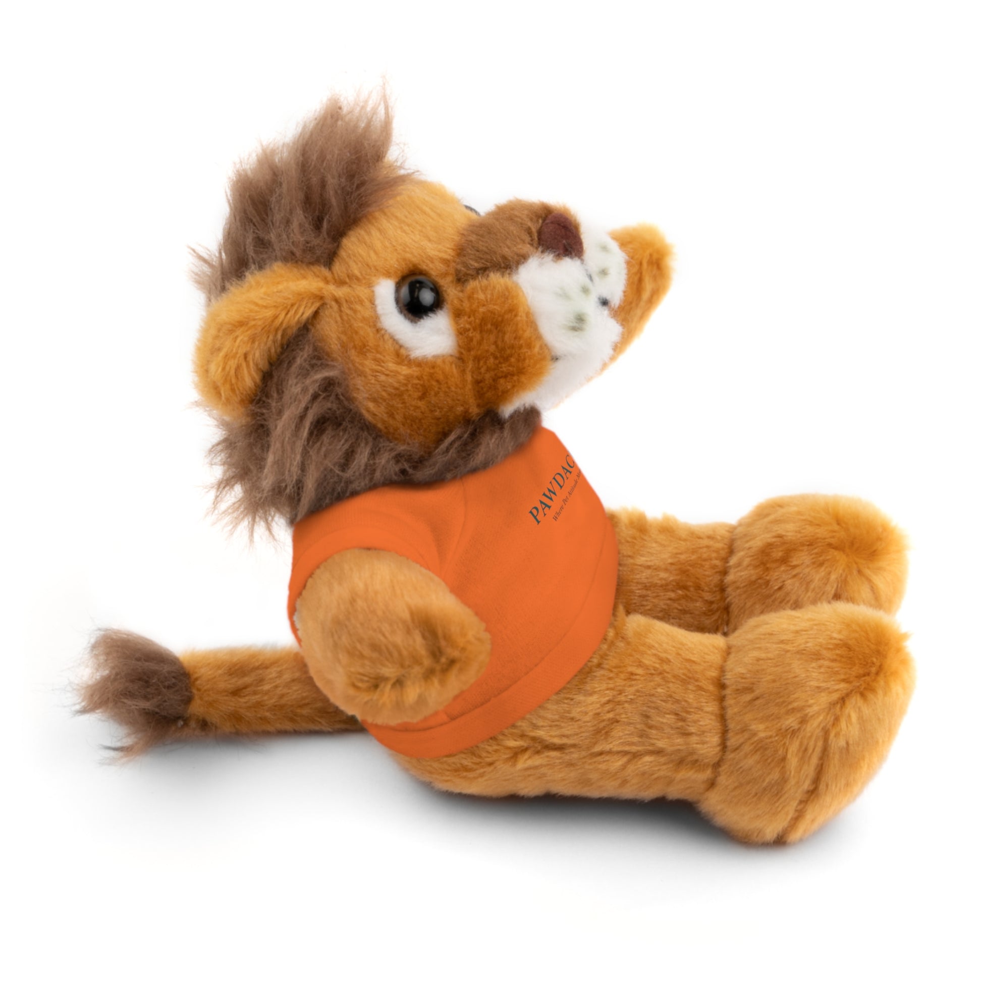 Customizable Teddy Bear - Pawdacity