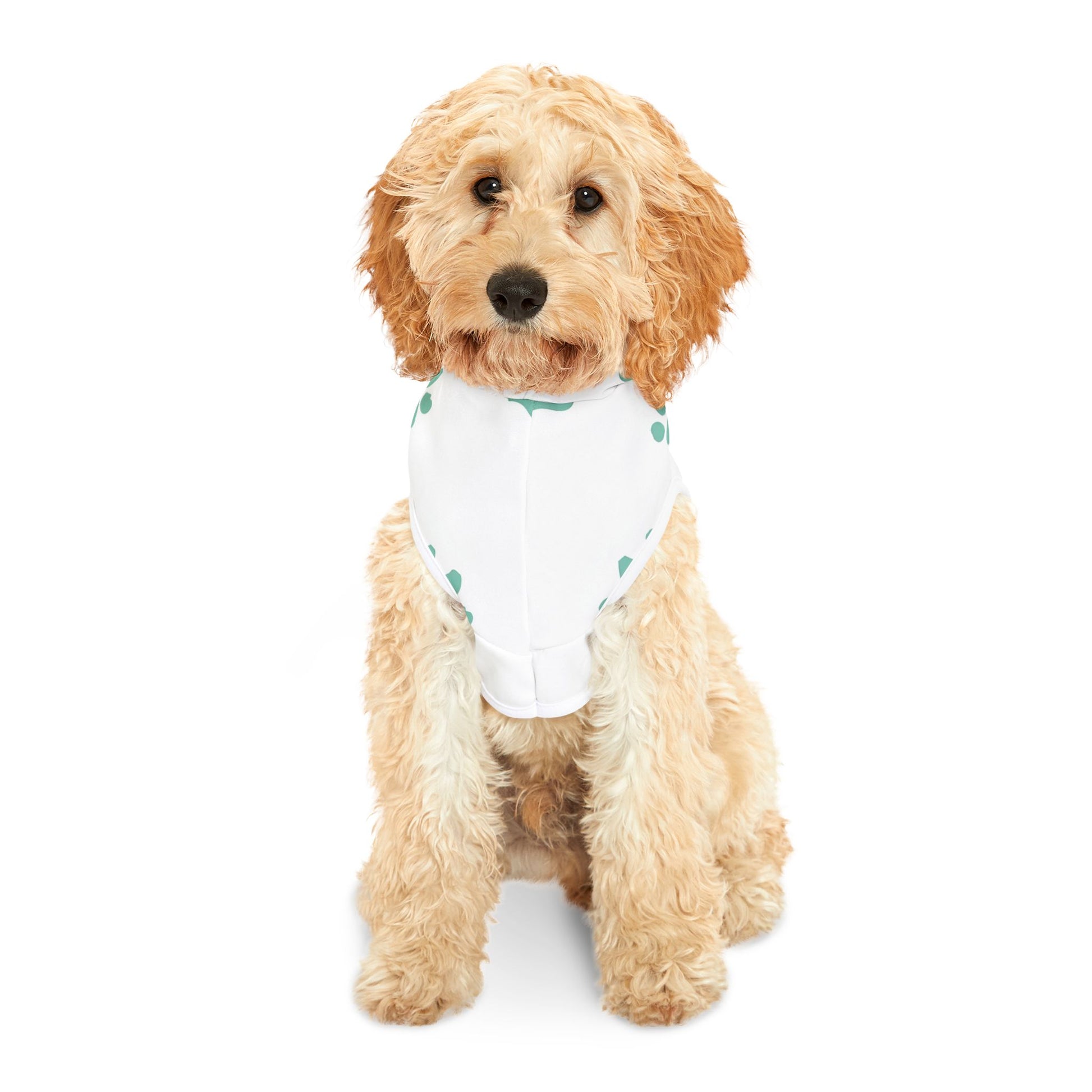 Pawsitively Pawdacious Hoodie - Pawdacity