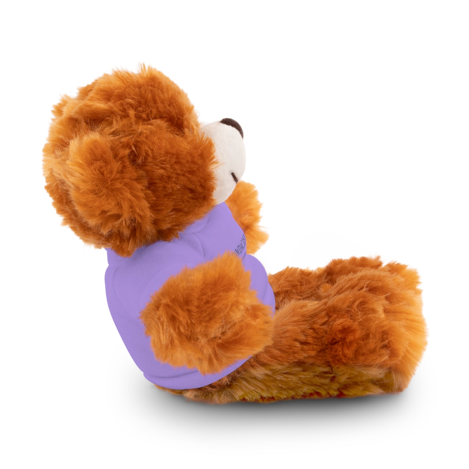 Customizable Teddy Bear - Pawdacity