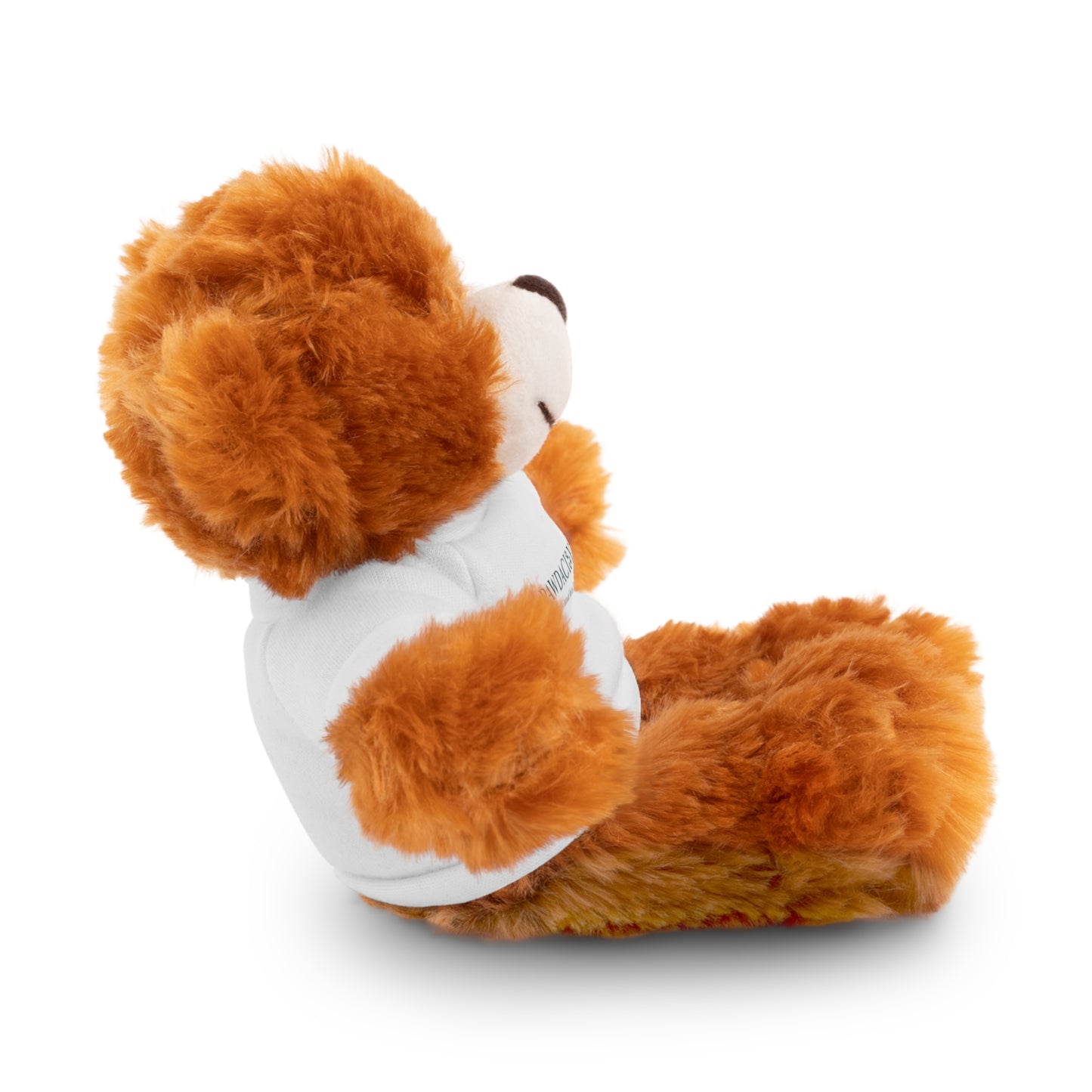 Customizable Teddy Bear - Pawdacity