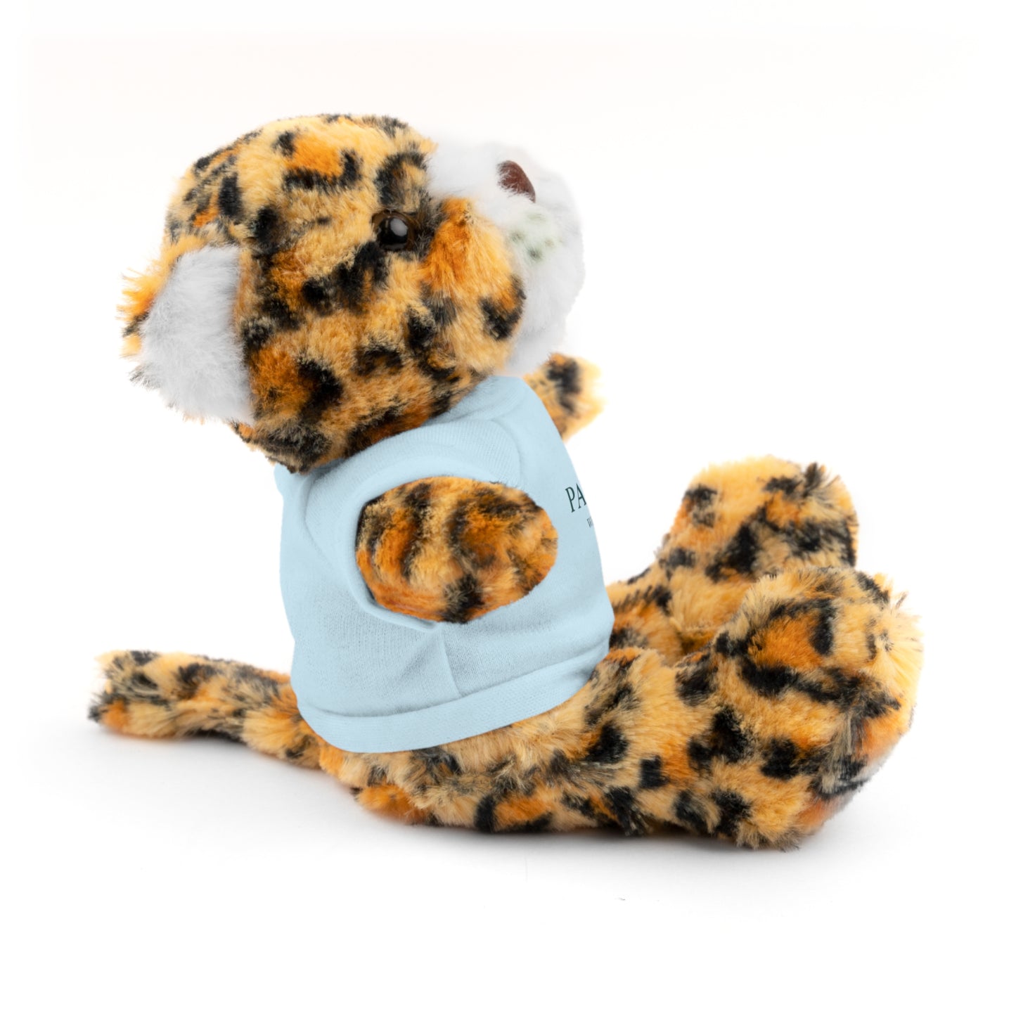 Customizable Teddy Bear - Pawdacity