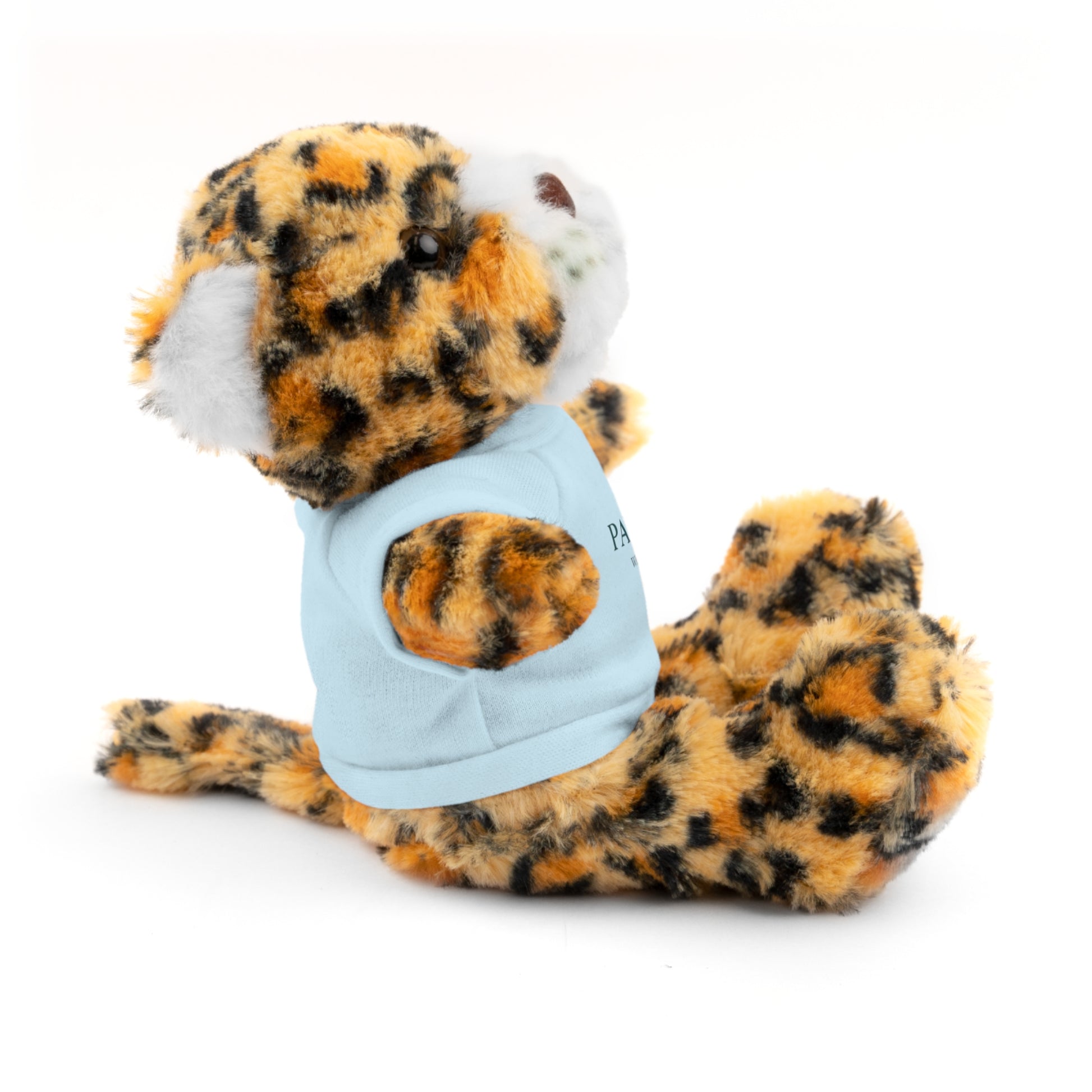 Customizable Teddy Bear - Pawdacity