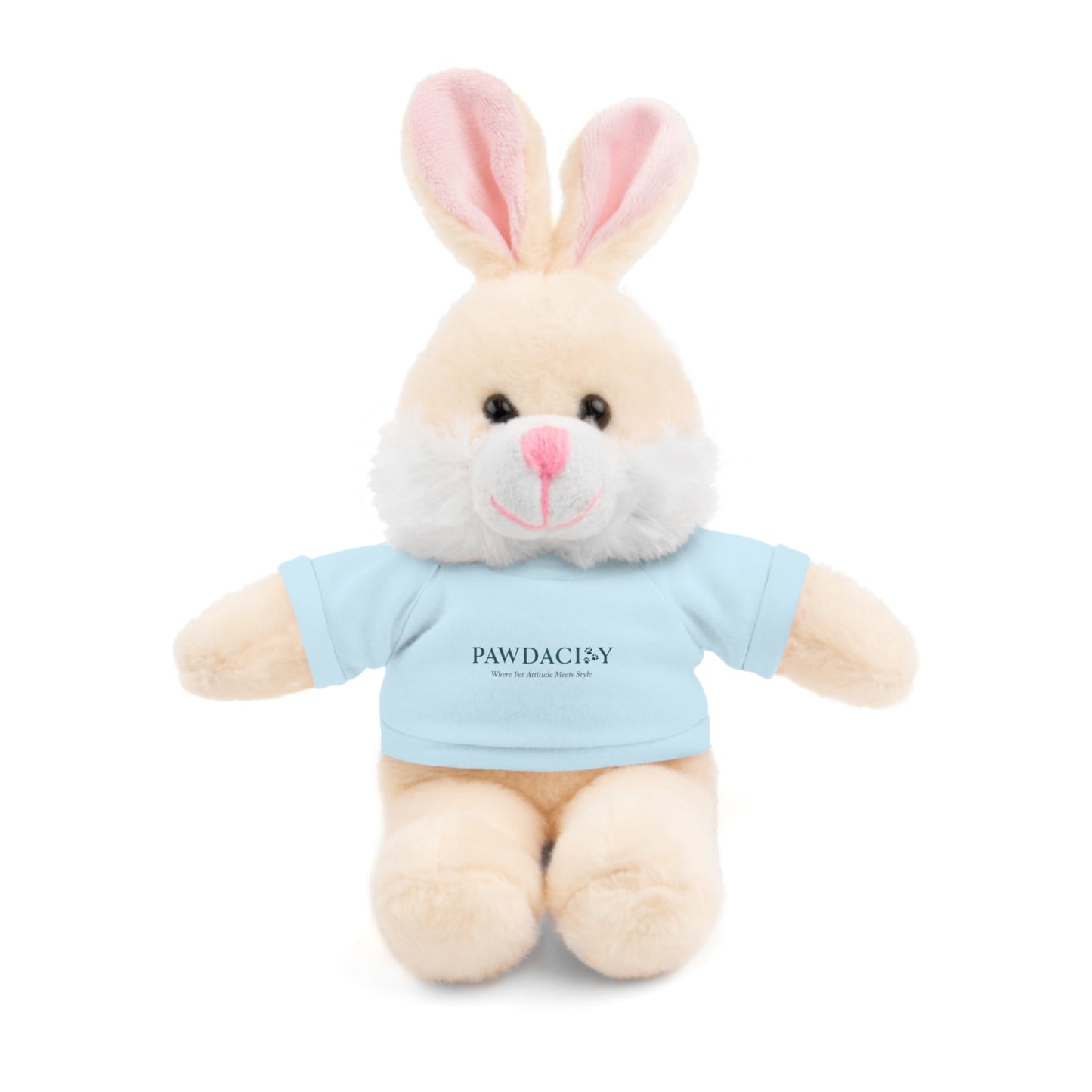 Customizable Teddy Bear - Pawdacity