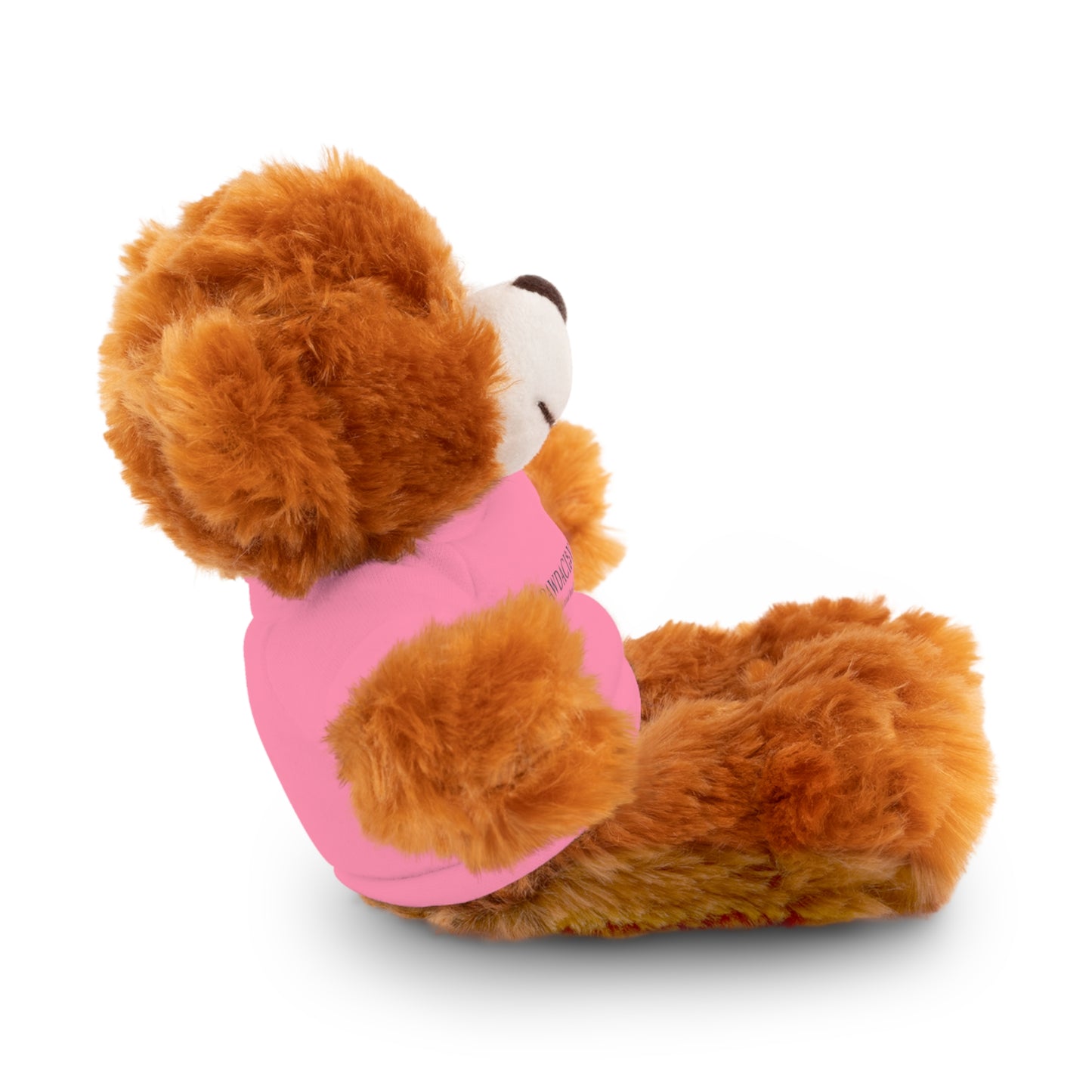 Customizable Teddy Bear - Pawdacity