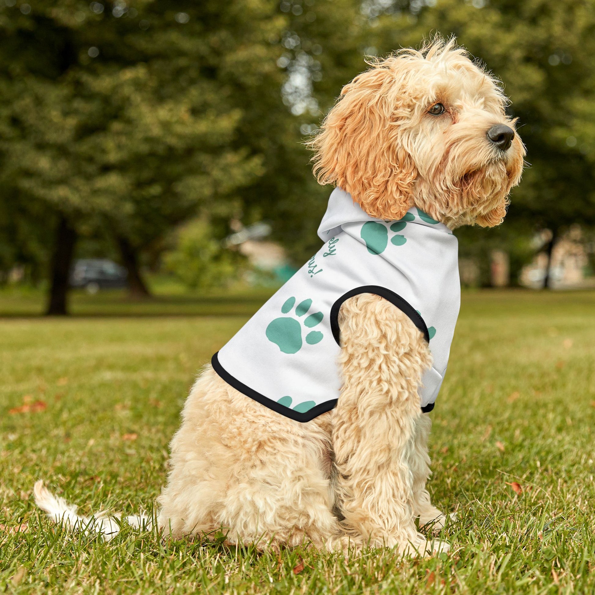 Pawsitively Pawdacious Hoodie - Pawdacity