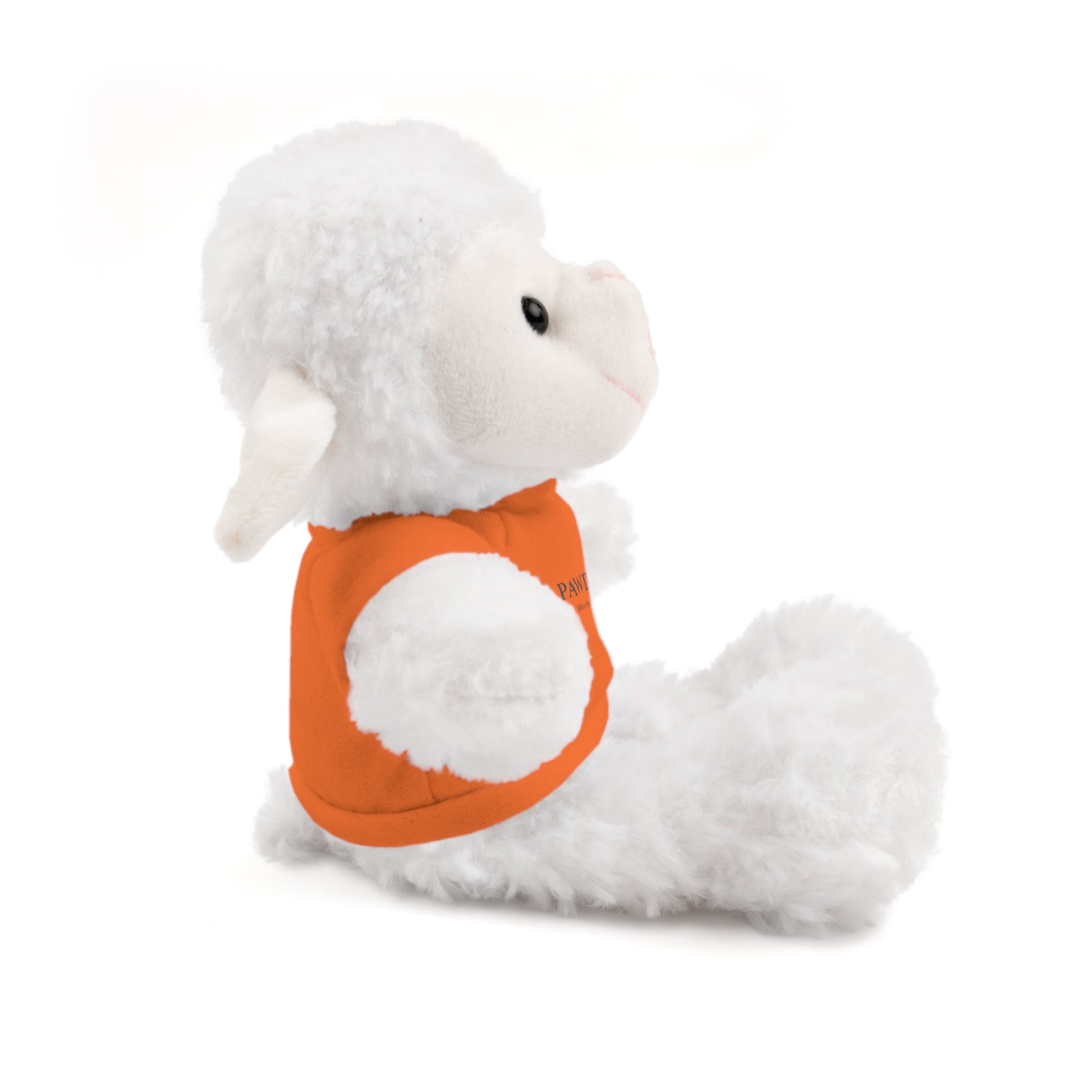 Customizable Teddy Bear - Pawdacity