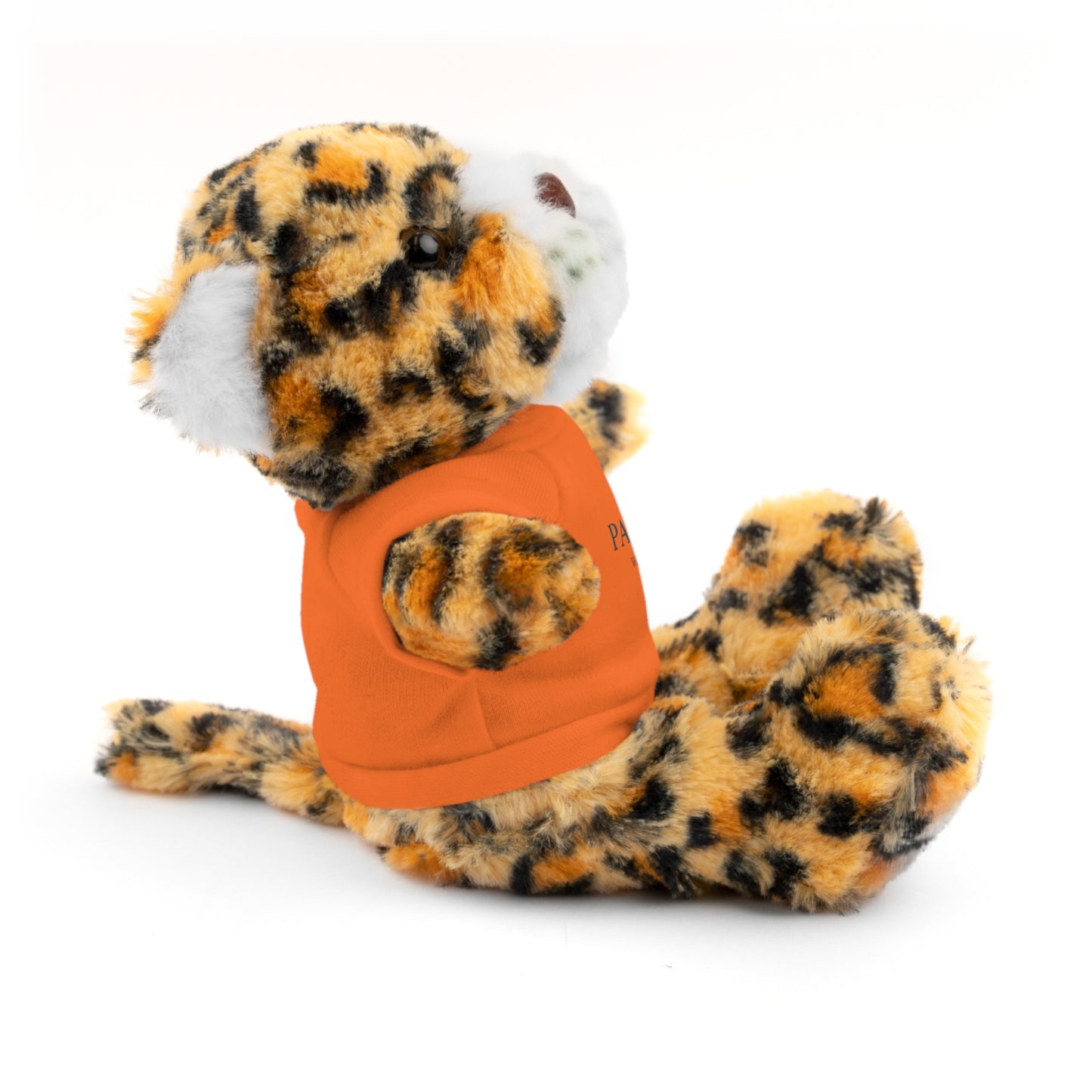 Customizable Teddy Bear - Pawdacity
