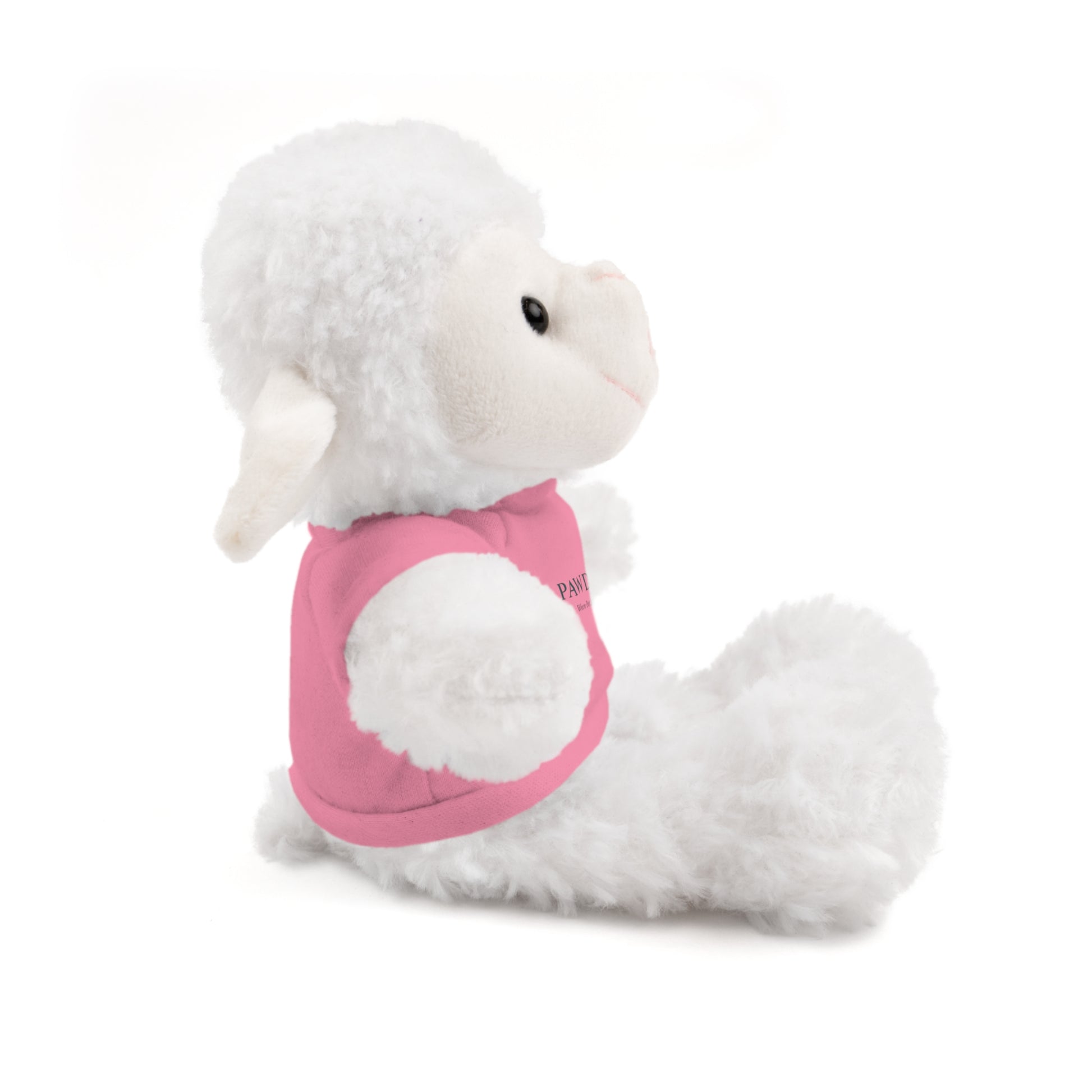 Customizable Teddy Bear - Pawdacity