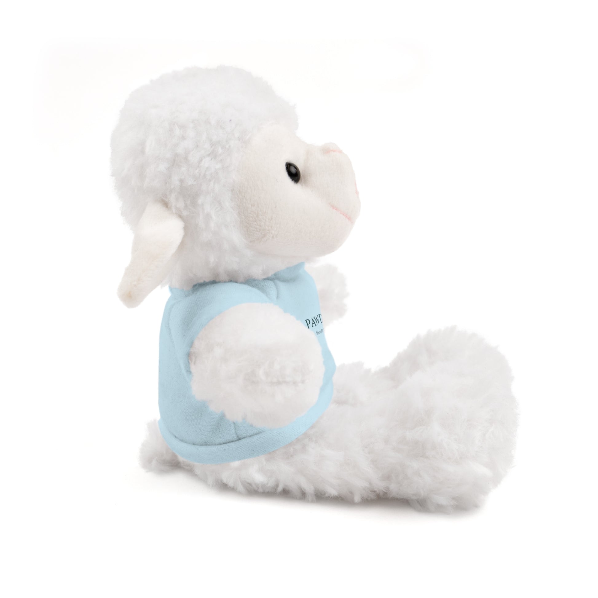Customizable Teddy Bear - Pawdacity