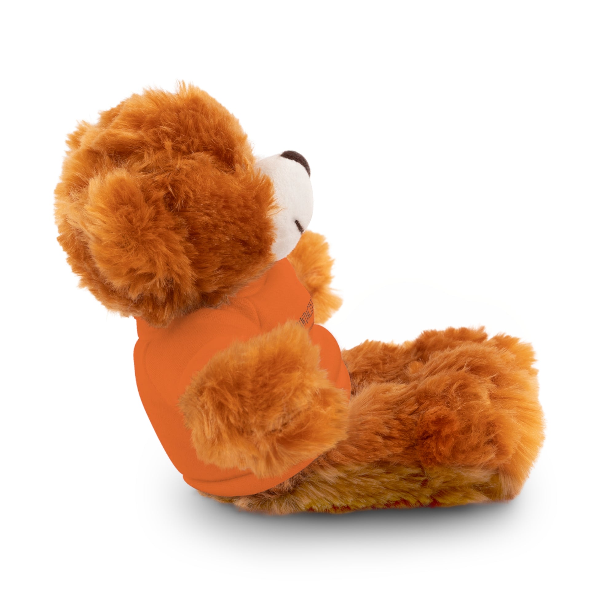Customizable Teddy Bear - Pawdacity