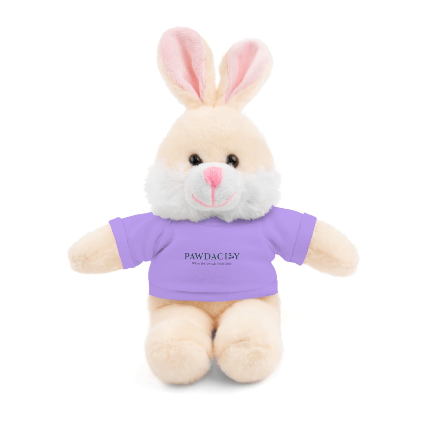 Customizable Teddy Bear - Pawdacity