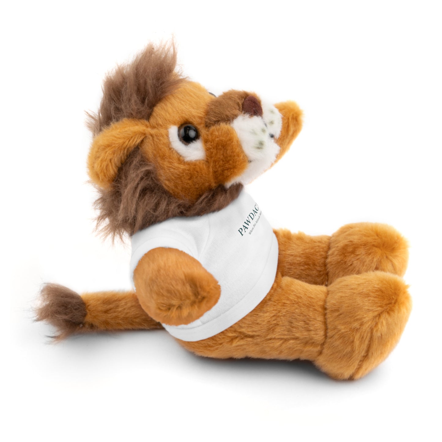 Customizable Teddy Bear - Pawdacity