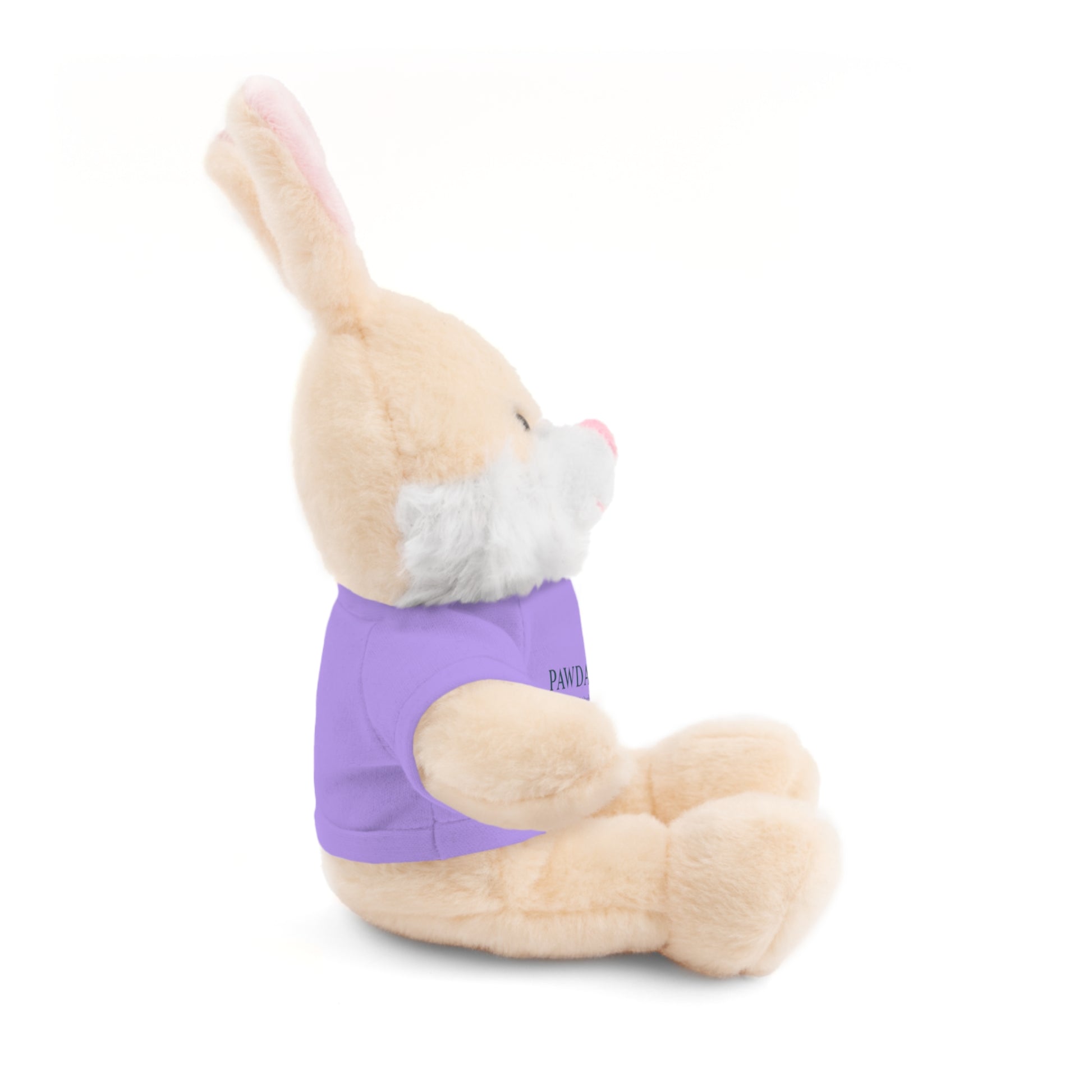 Customizable Teddy Bear - Pawdacity