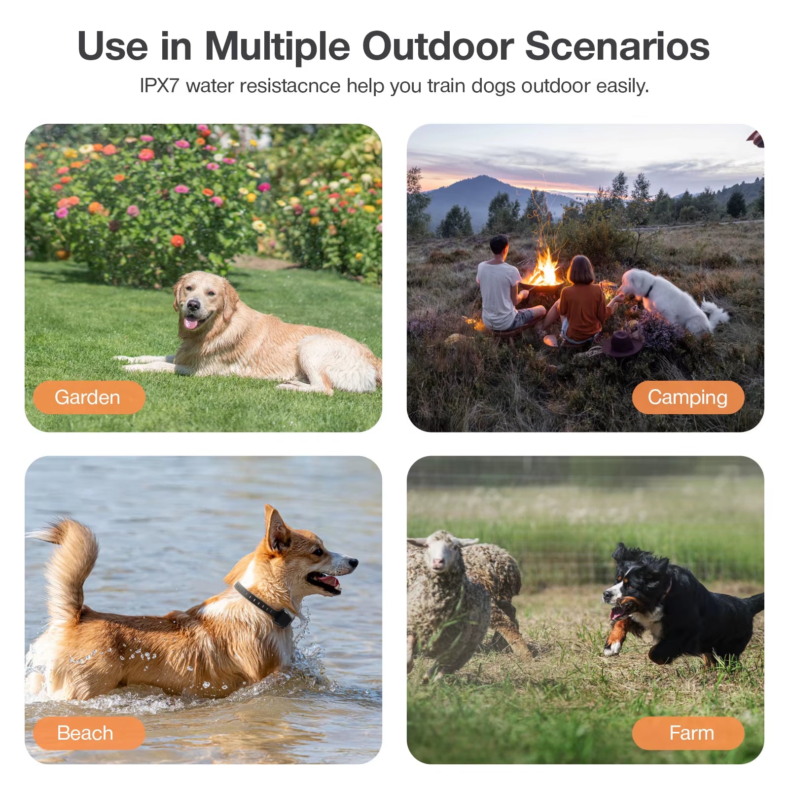 GPS Wireless Electric Dog Fence Safe Easy Setup Outdoor Dog Containment System Waterproof Rechargeable Dog Collar for Large Dog